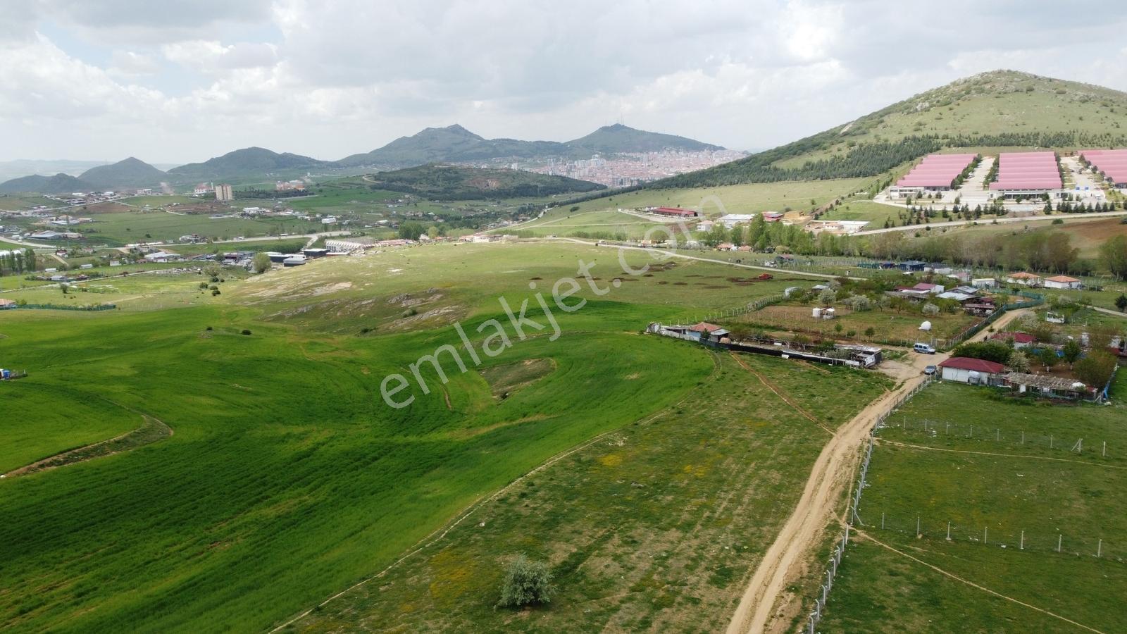 Tatlar Da Çit Mevkiinde Yol Kenarı Karapürçek Yakını Toki Yakını - Görsel 17