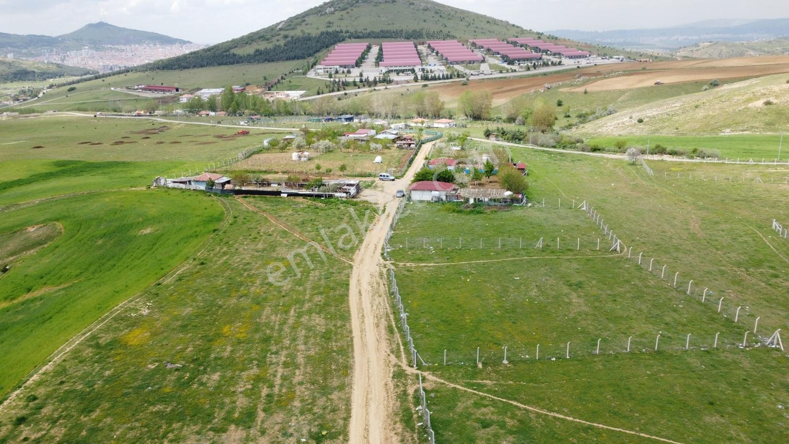 Tatlar Da Çit Mevkiinde Yol Kenarı Karapürçek Yakını Toki Yakını - Görsel 12