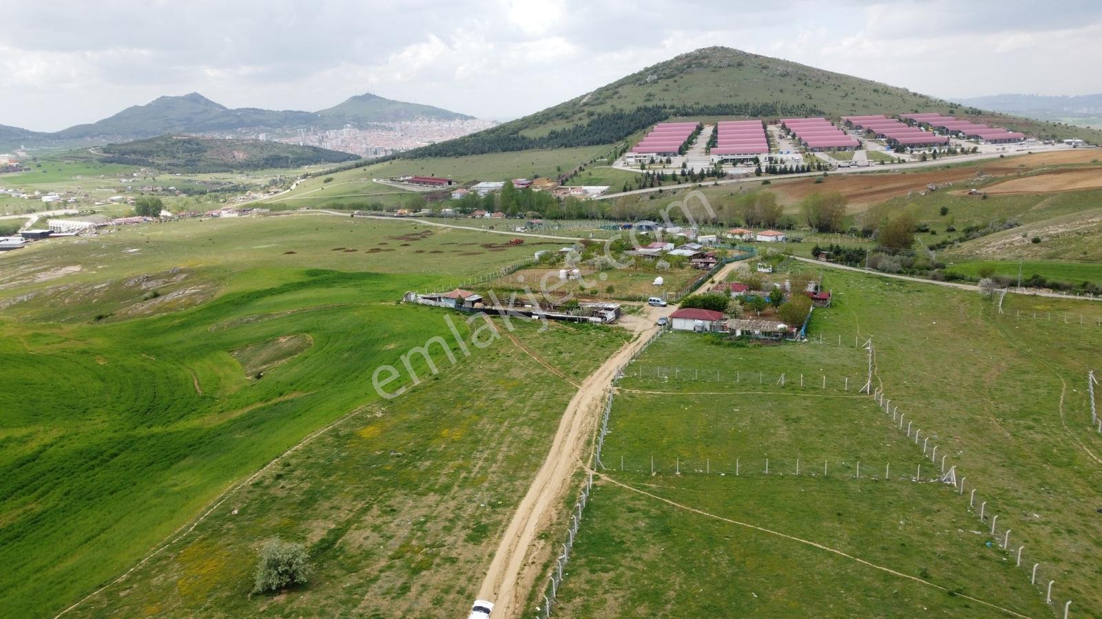 Tatlar Da Çit Mevkiinde Yol Kenarı Karapürçek Yakını Toki Yakını - Görsel 26