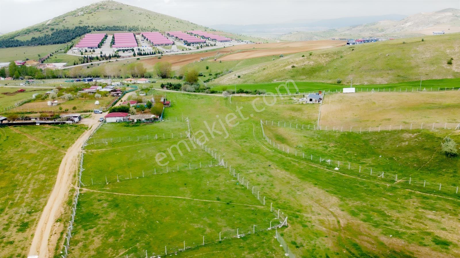 Tatlar Da Çit Mevkiinde Yol Kenarı Karapürçek Yakını Toki Yakını - Görsel 30