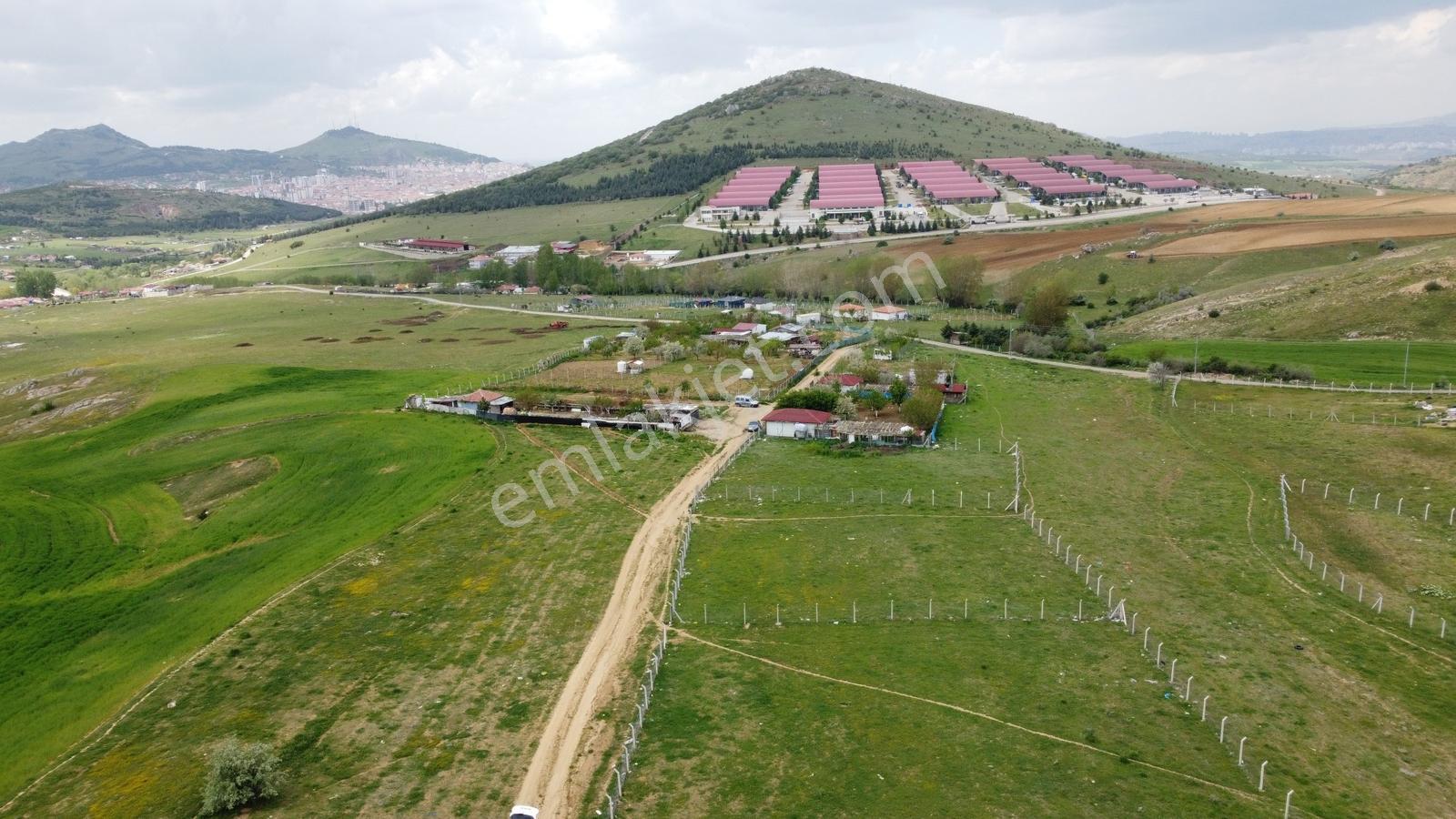 Tatlar Da Çit Mevkiinde Yol Kenarı Karapürçek Yakını Toki Yakını - Görsel 14