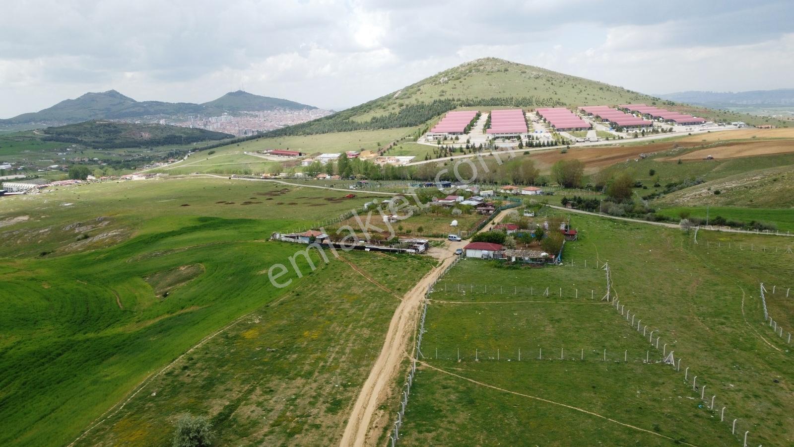 Tatlar Da Çit Mevkiinde Yol Kenarı Karapürçek Yakını Toki Yakını - Görsel 16