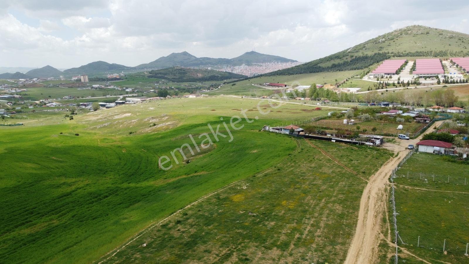 Tatlar Da Çit Mevkiinde Yol Kenarı Karapürçek Yakını Toki Yakını - Görsel 34