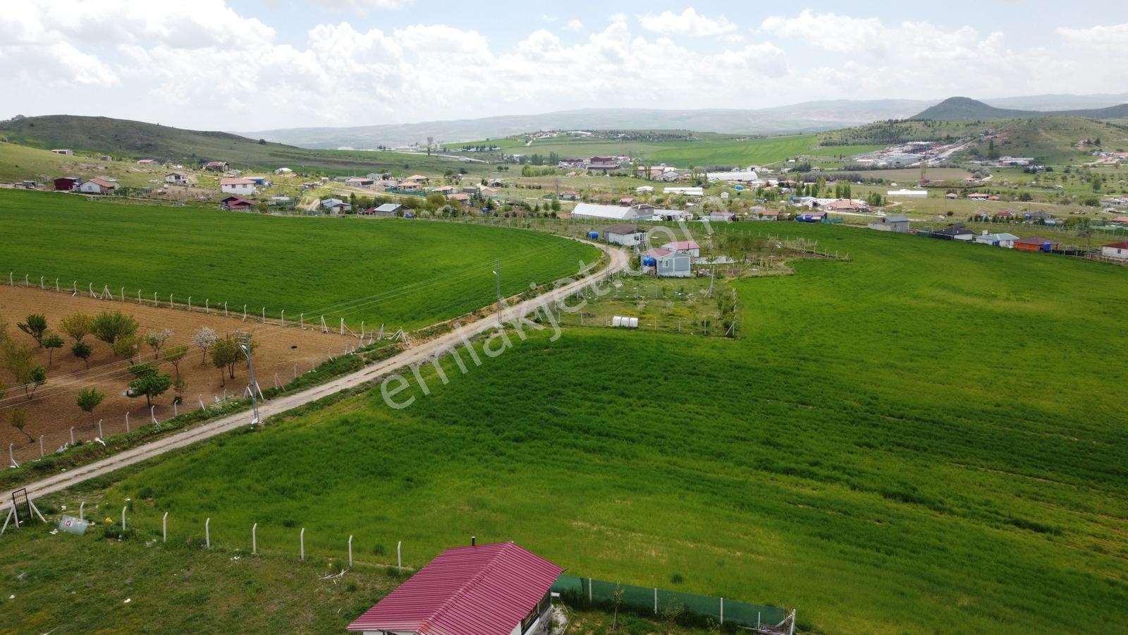 Tatlar Da Çit Mevkiinde Yol Kenarı Karapürçek Yakını Toki Yakını - Görsel 8