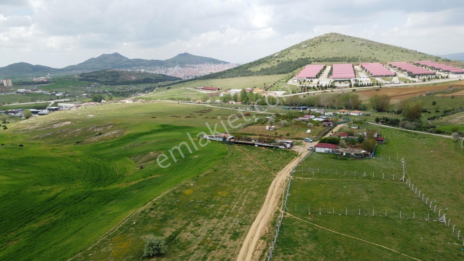 Tatlar Da Çit Mevkiinde Yol Kenarı Karapürçek Yakını Toki Yakını - Görsel 35