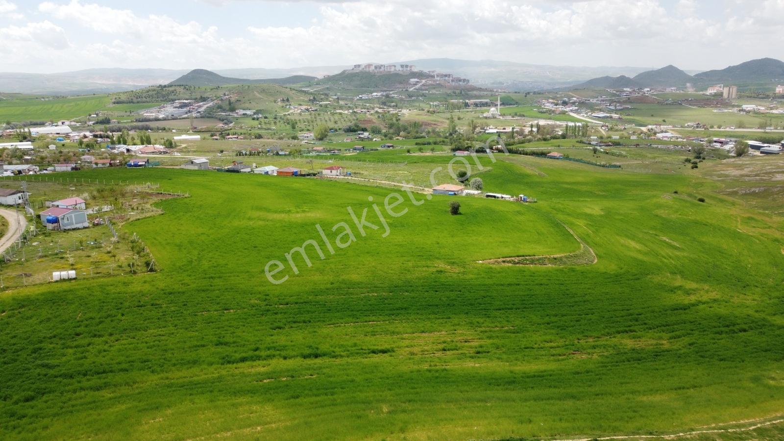 Tatlar Da Çit Mevkiinde Yol Kenarı Karapürçek Yakını Toki Yakını - Görsel 31