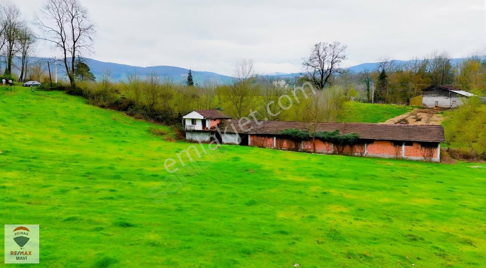 Kalayık Mahallesi 12.066 M² Konut İmarlı, Satılık Arsa - Görsel 14