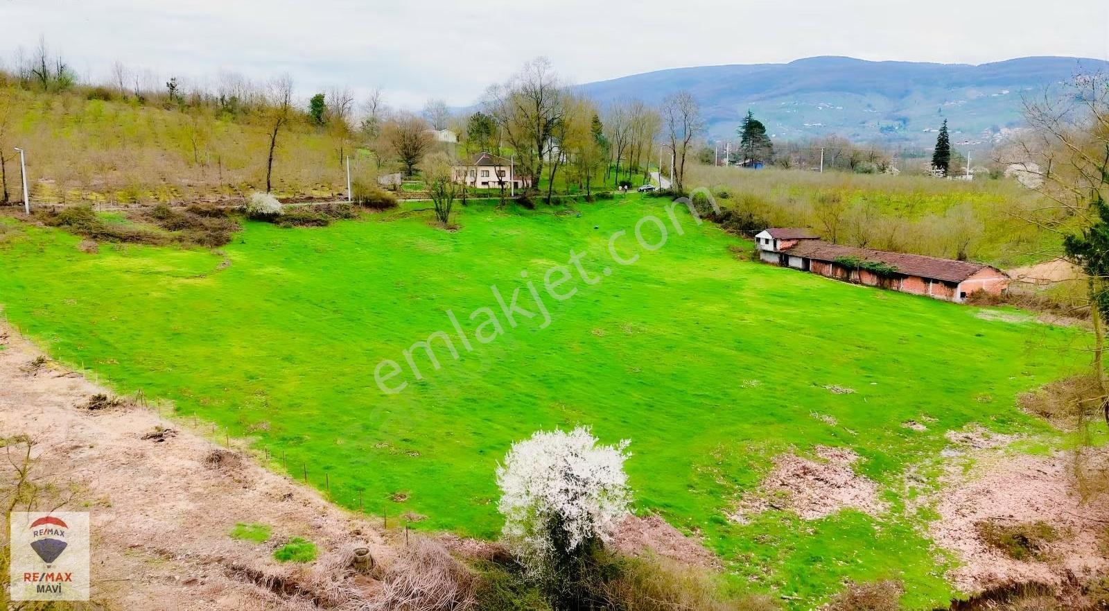 Kalayık Mahallesi 12.066 M² Konut İmarlı, Satılık Arsa - Görsel 4