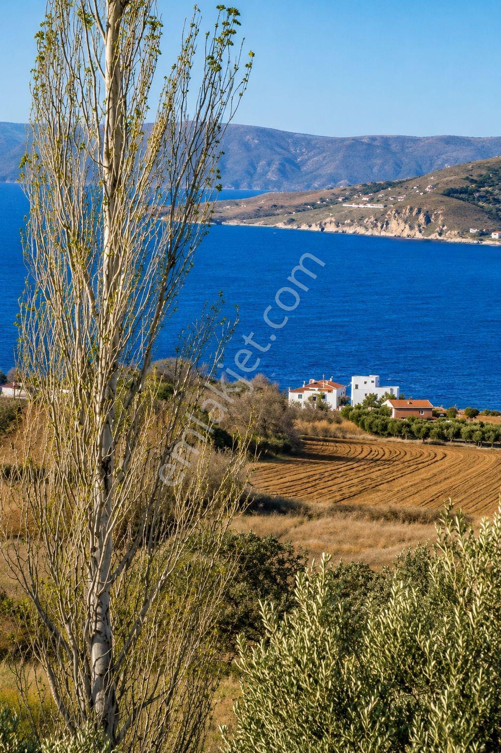Erdek Paşalimanın Da Deniz Manzaralı Satılık 1000 M2 Arsalar - Görsel 2