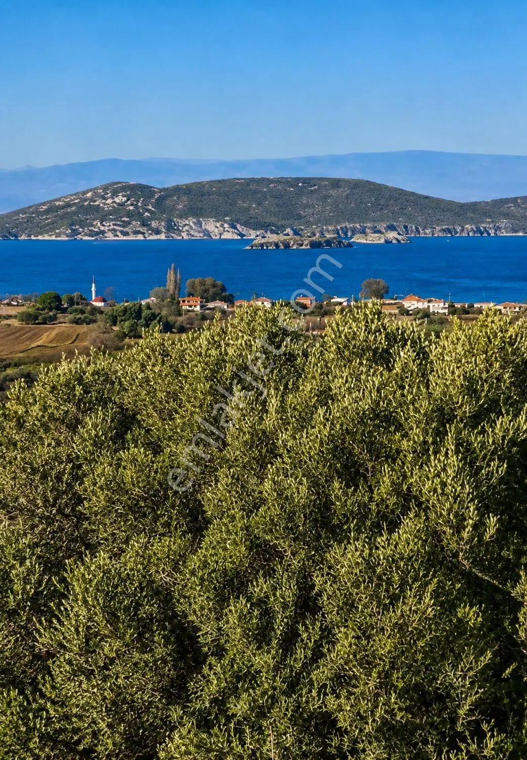 Erdek Paşalimanın Da Deniz Manzaralı Satılık 1000 M2 Arsalar - Görsel 6