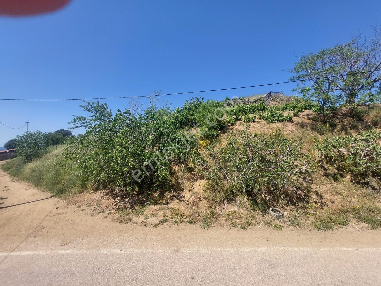 Kestanelik Köyünde 430 M2 Deniz Manzaralı Konut Yapılabilr Arsa - Görsel 17