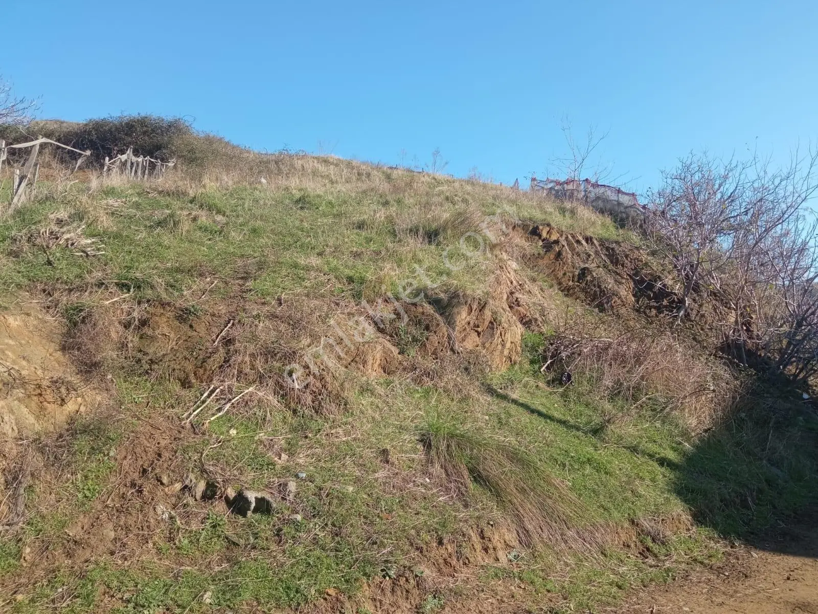 Kestanelik Köyünde 430 M2 Deniz Manzaralı Konut Yapılabilr Arsa - Görsel 2
