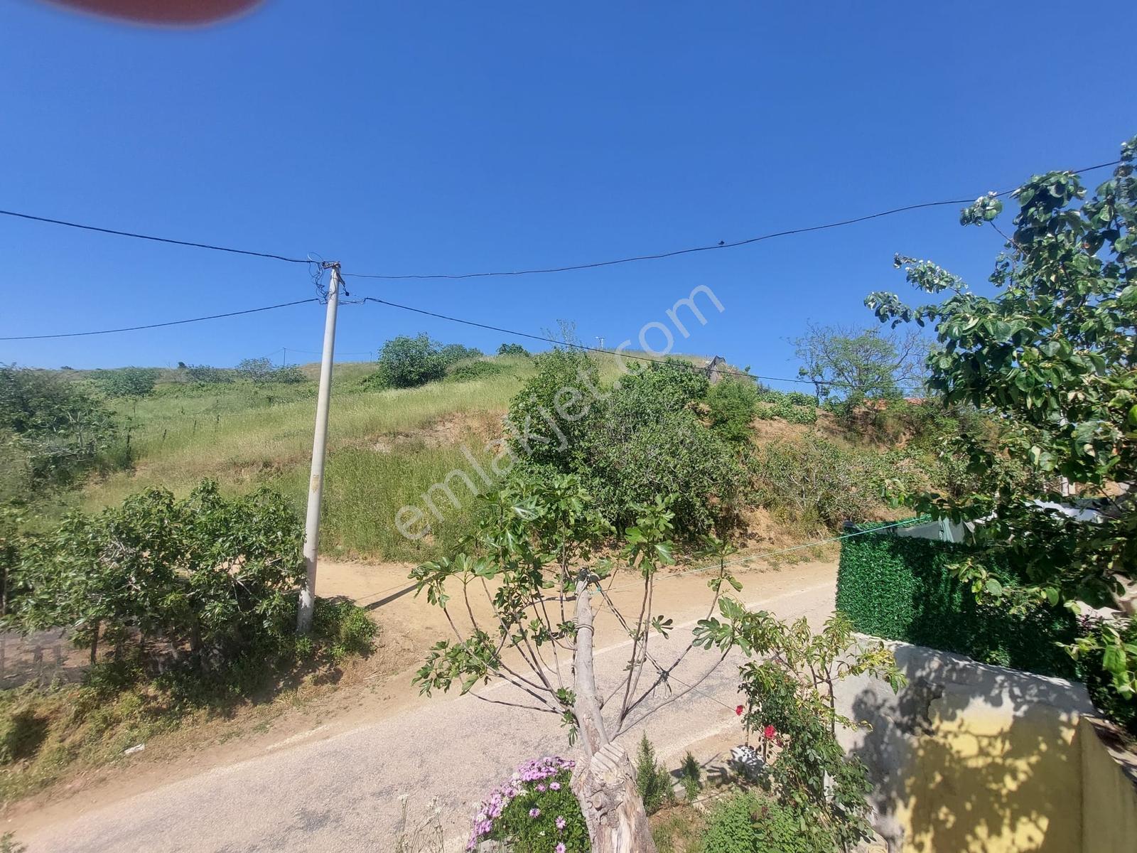 Kestanelik Köyünde 430 M2 Deniz Manzaralı Konut Yapılabilr Arsa - Görsel 11