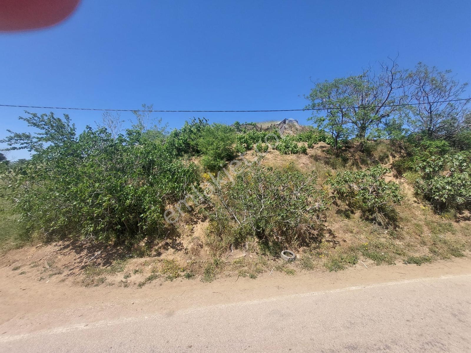 Kestanelik Köyünde 430 M2 Deniz Manzaralı Konut Yapılabilr Arsa - Görsel 8