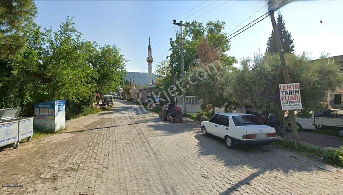 Mılas Ağaçlıhöyük'te Satılık Kadastral Yola Sıfır 15 Dönüm Tarla - Görsel 19