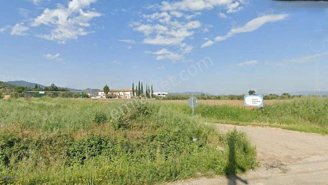Mılas Ağaçlıhöyük'te Satılık Kadastral Yola Sıfır 15 Dönüm Tarla - Görsel 6