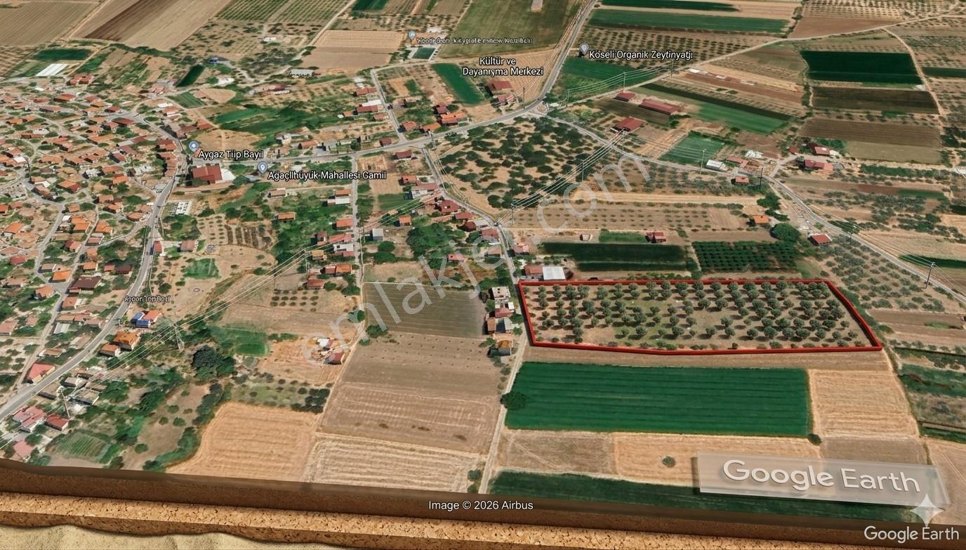 Mılas Ağaçlıhöyük'te Satılık Kadastral Yola Sıfır 15 Dönüm Tarla - Görsel 12