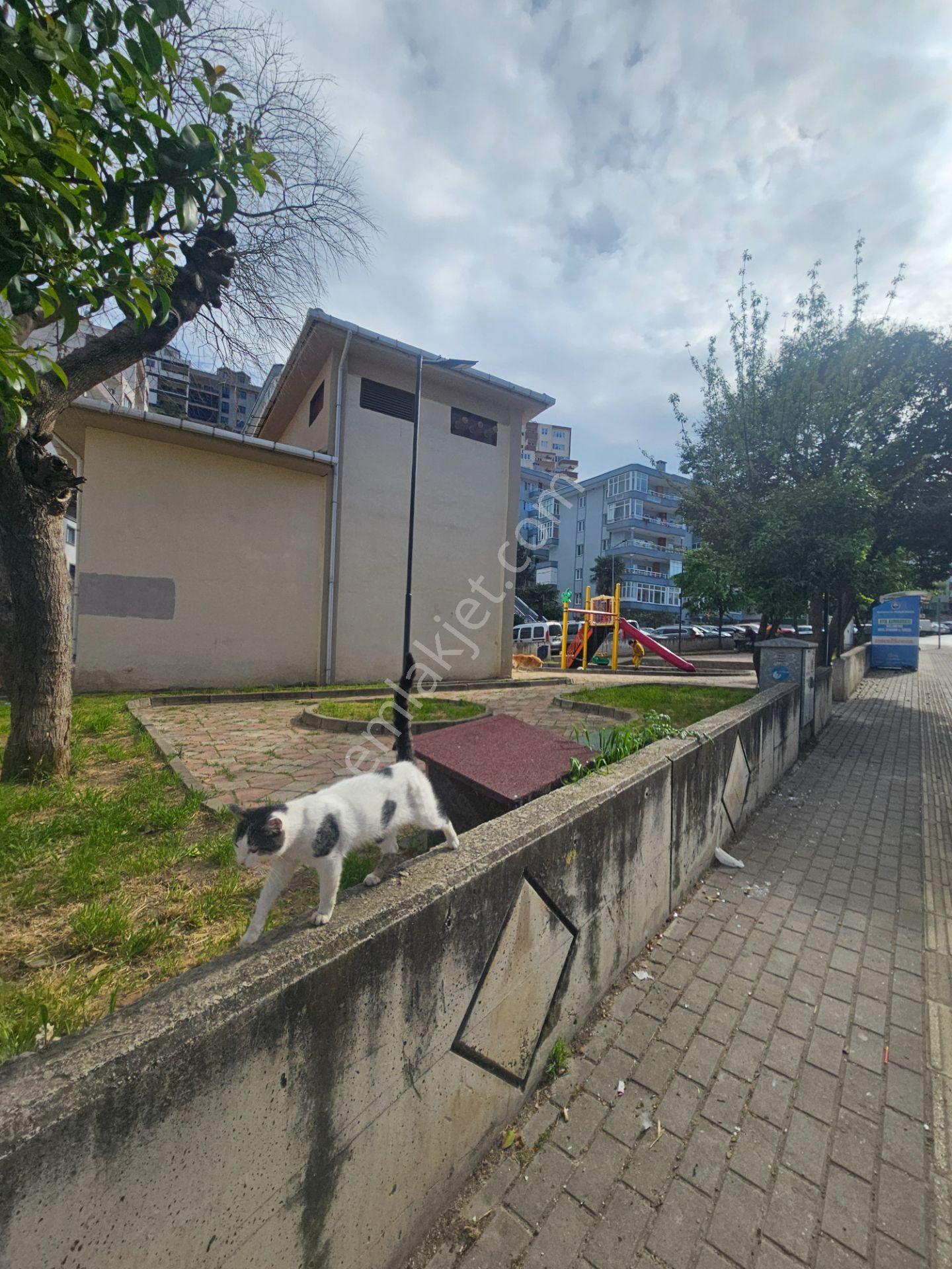 Mudanya Hasanbey'de Deniz Manzaralı Kiralık 2+1 Daire (90m²) - Görsel 29