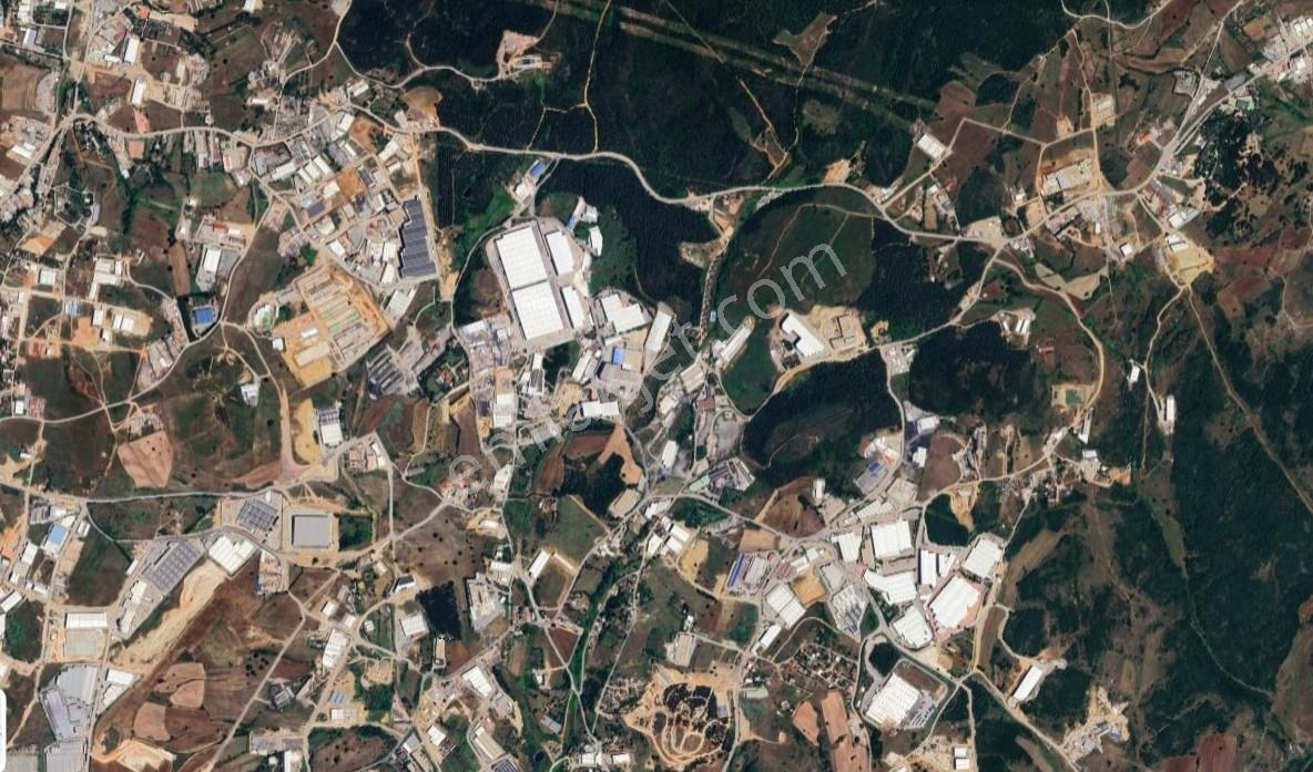 Pelitlide Satılık 5500 M2 Arsa (3250 M2 Tek Kat Kuruluma Uygun)