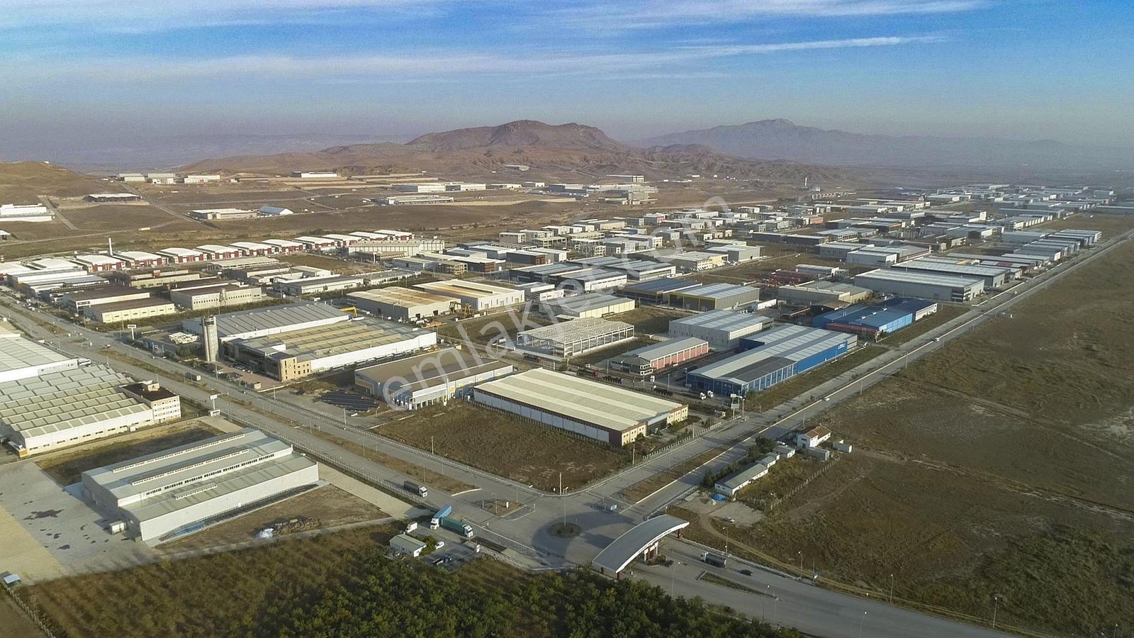 Pelitlide Satılık 5500 M2 Arsa (3250 M2 Tek Kat Kuruluma Uygun) - Görsel 6