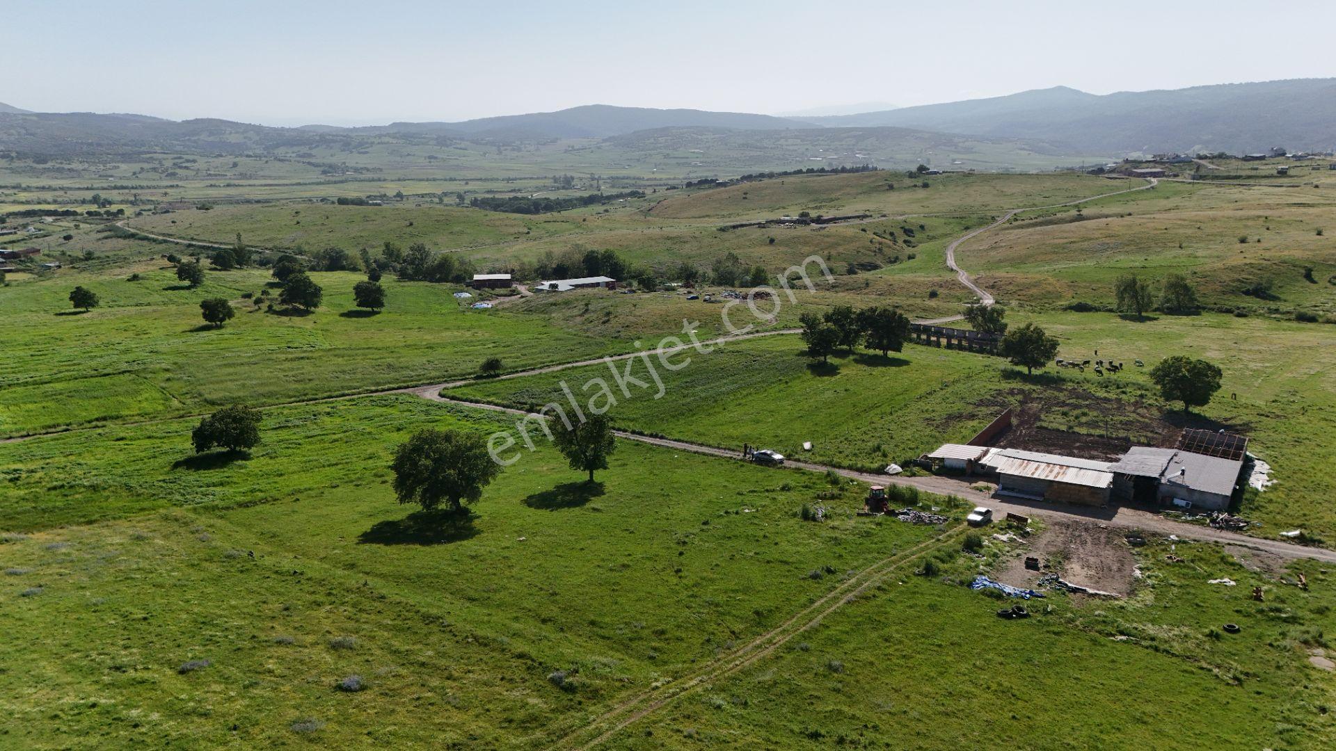 Remax Mid'den Kocaavşar Mah. 6236 M² Tarla - Görsel 9
