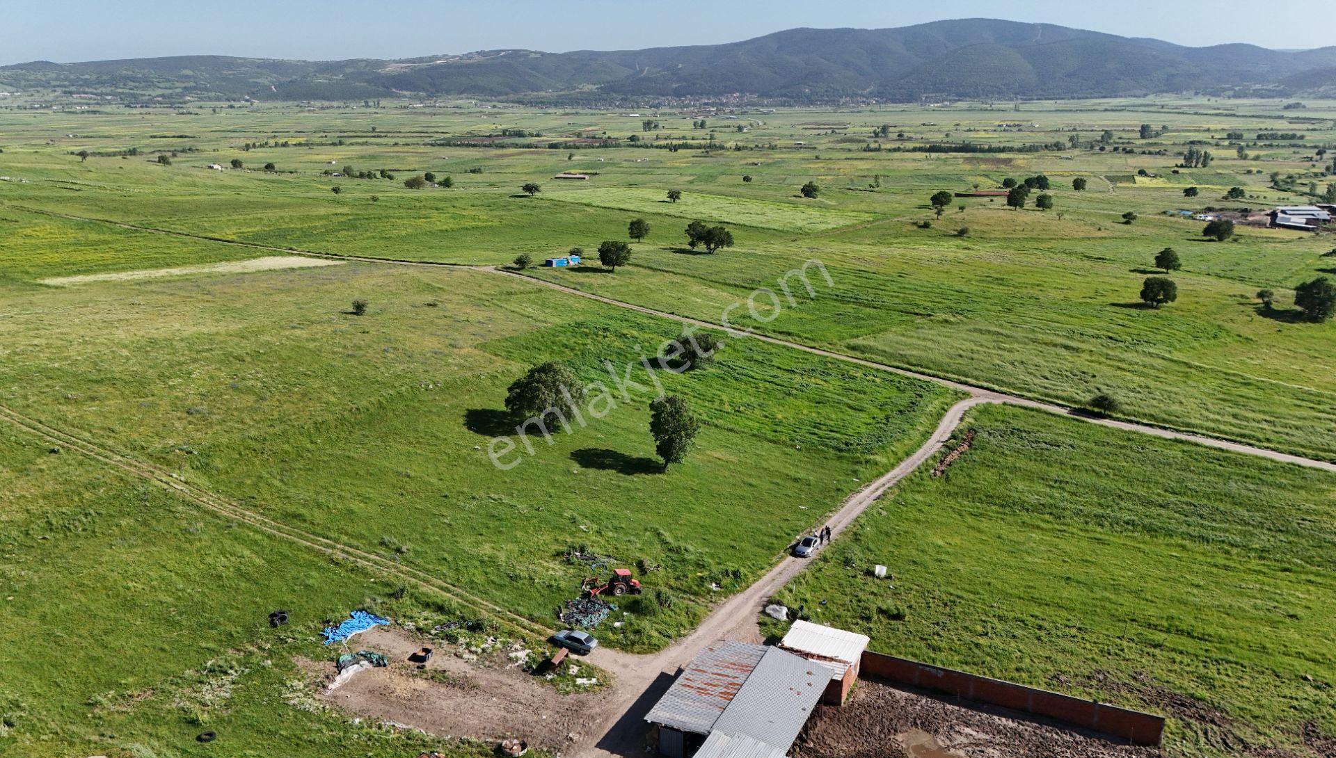 Remax Mid'den Kocaavşar Mah. 6236 M² Tarla - Görsel 8