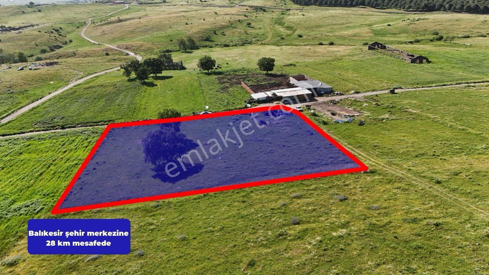 Remax Mid'den Kocaavşar Mah. 6236 M² Tarla - Görsel 3