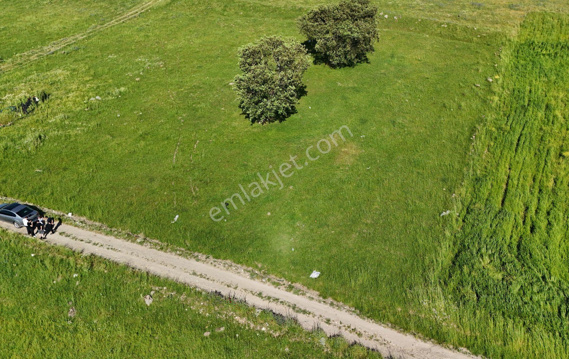 Remax Mid'den Kocaavşar Mah. 6236 M² Tarla - Görsel 6