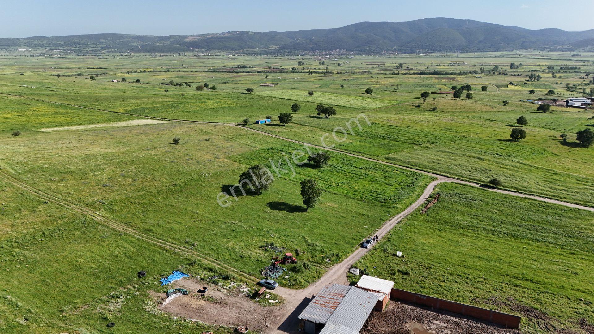 Remax Mid'den Kocaavşar Mah. 6236 M² Tarla - Görsel 12