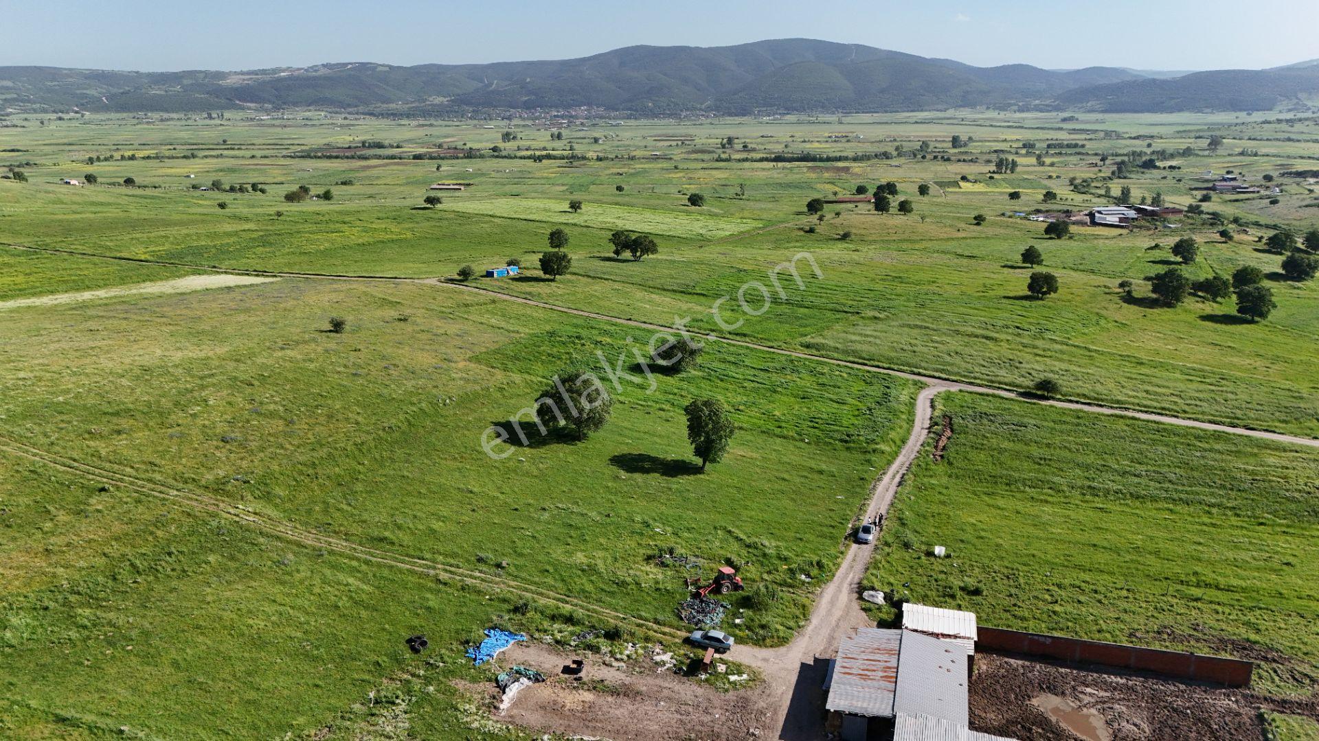 Remax Mid'den Kocaavşar Mah. 6236 M² Tarla - Görsel 11