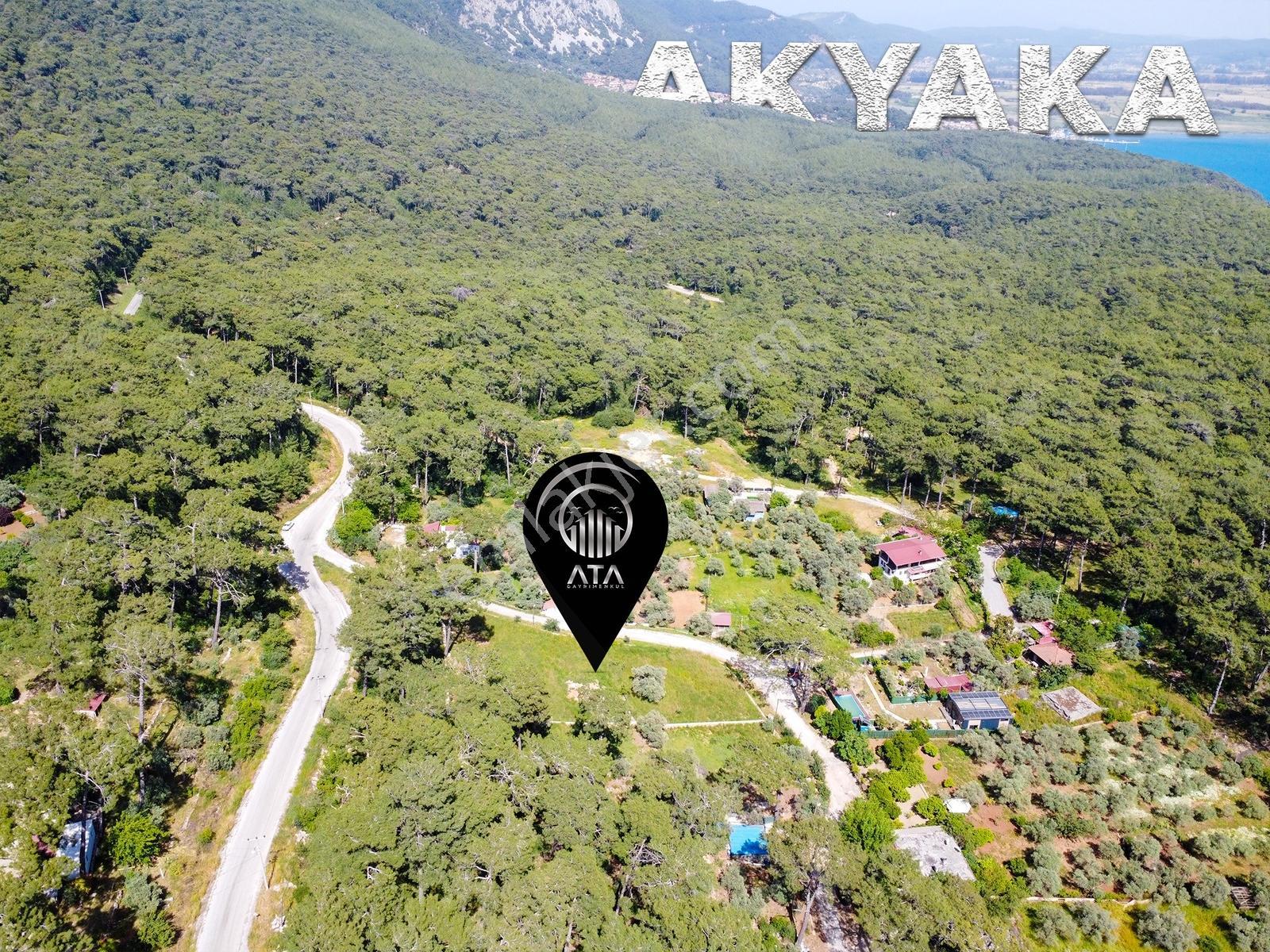 Ata'dan Akyaka Çınar Plajı Üzerinde Denize 600 Mt 2 Dönüm Arazi - Görsel 3