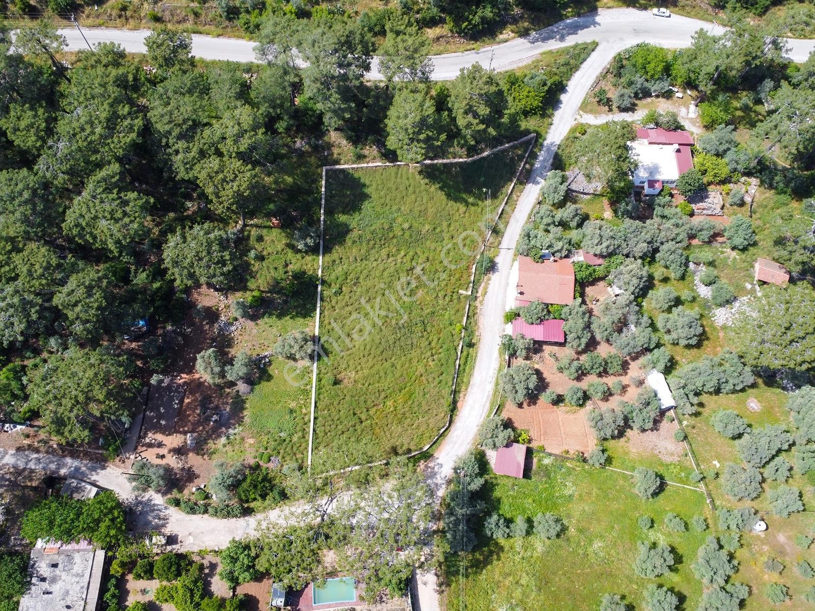 Ata'dan Akyaka Çınar Plajı Üzerinde Denize 600 Mt 2 Dönüm Arazi - Görsel 14