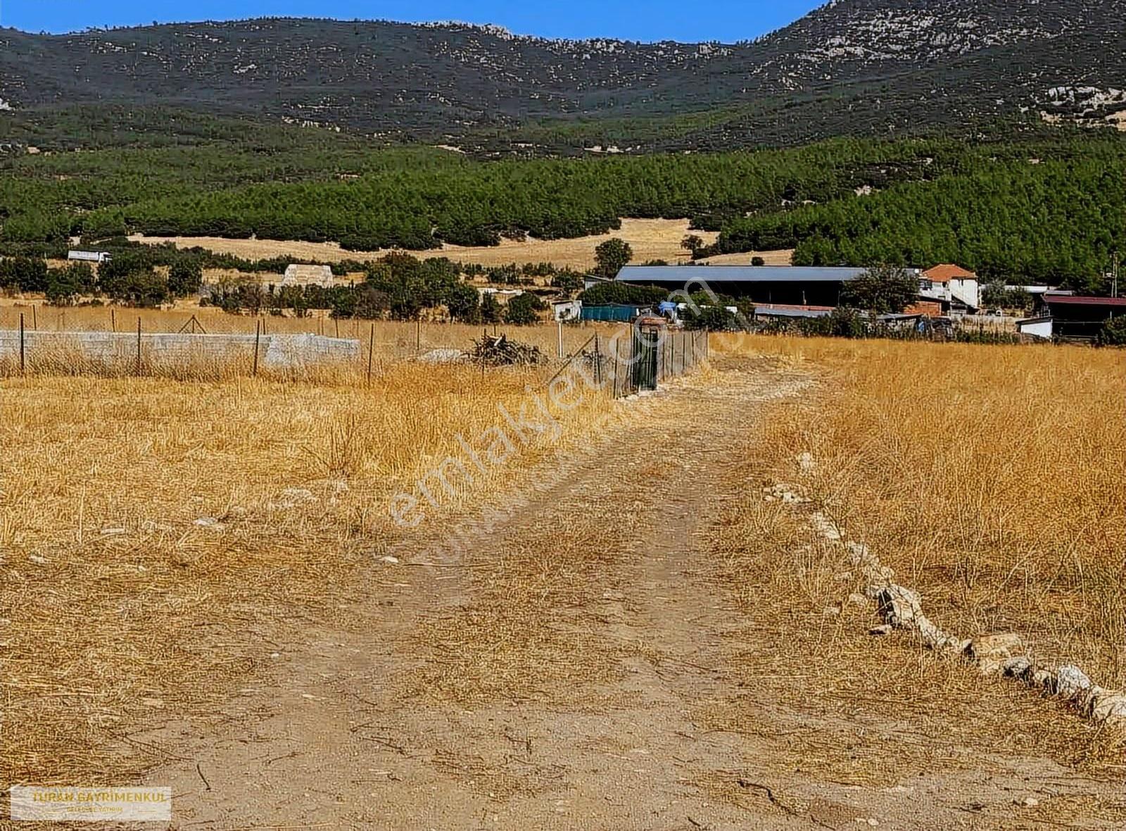 Çubuk Belini Geçince Korkuteline Sınır 6.324 M2 Arazi ! - Görsel 6