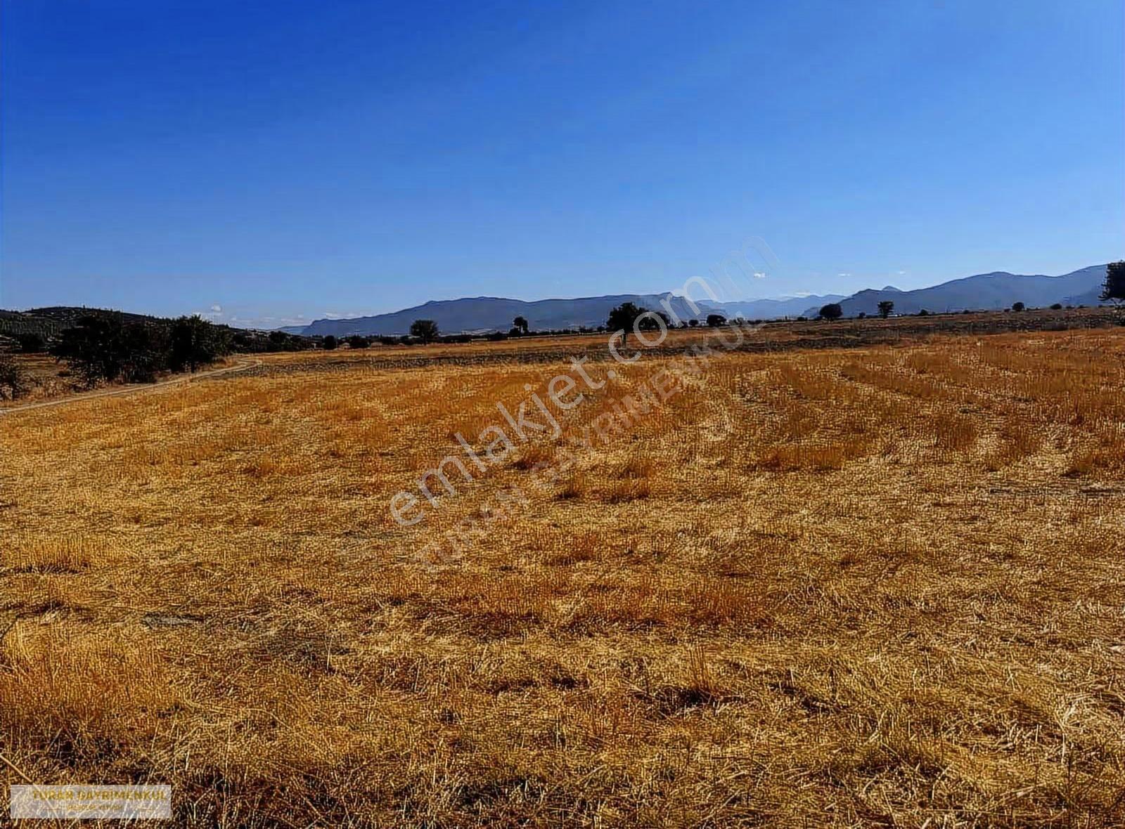 Çubuk Belini Geçince Korkuteline Sınır 6.324 M2 Arazi ! - Görsel 3