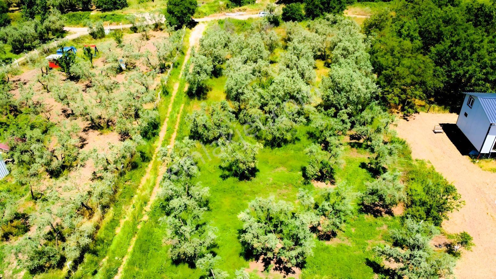 Dutluca Köyünde Harika Konumda Köşe Parsel 1066m2 Satılık Tarla - Görsel 3