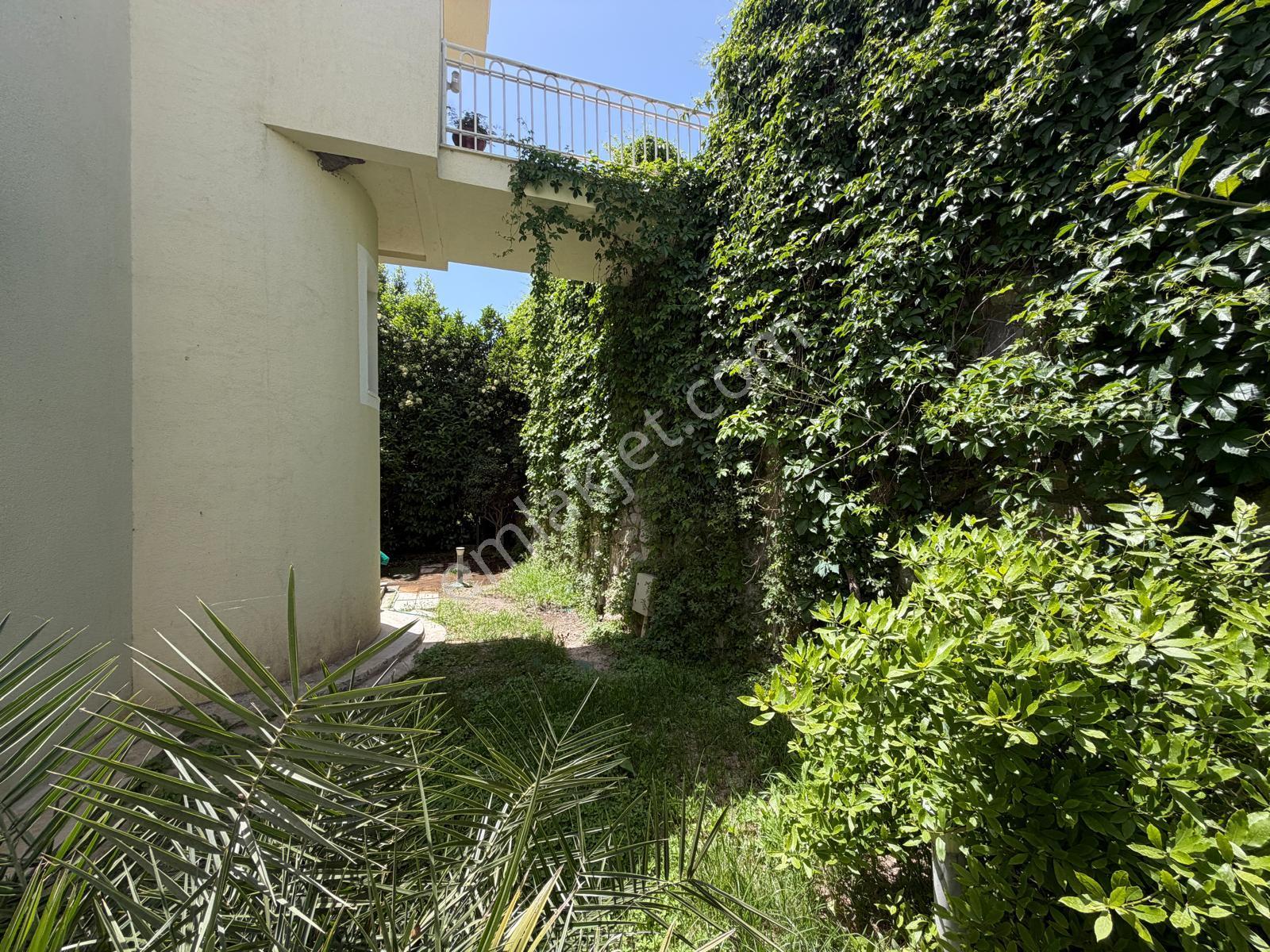 Bodrum Adabükünde Özel Havuzlu 3+1 Müstakil Villa - Görsel 9