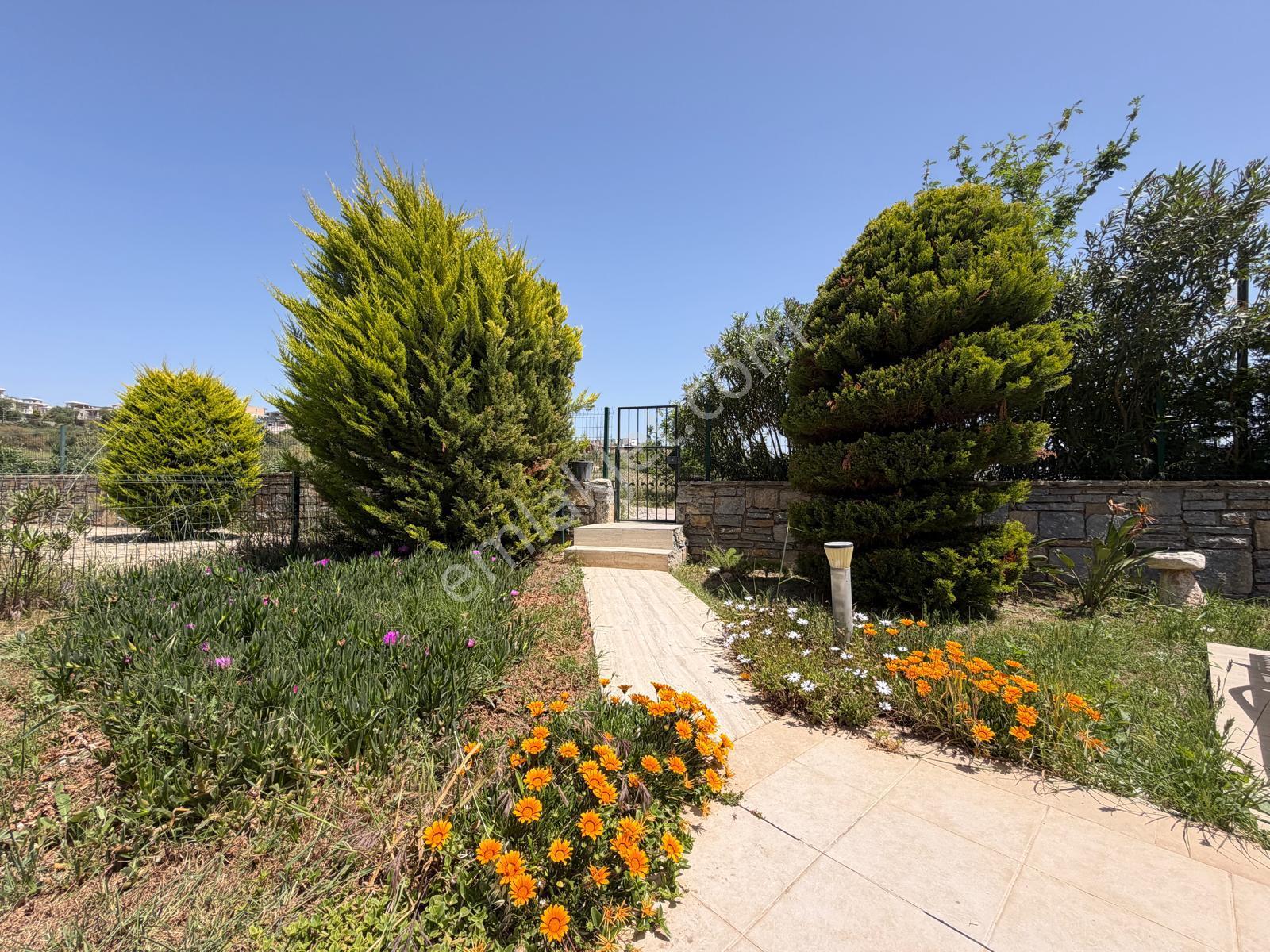 Bodrum Adabükünde Özel Havuzlu 3+1 Müstakil Villa - Görsel 8