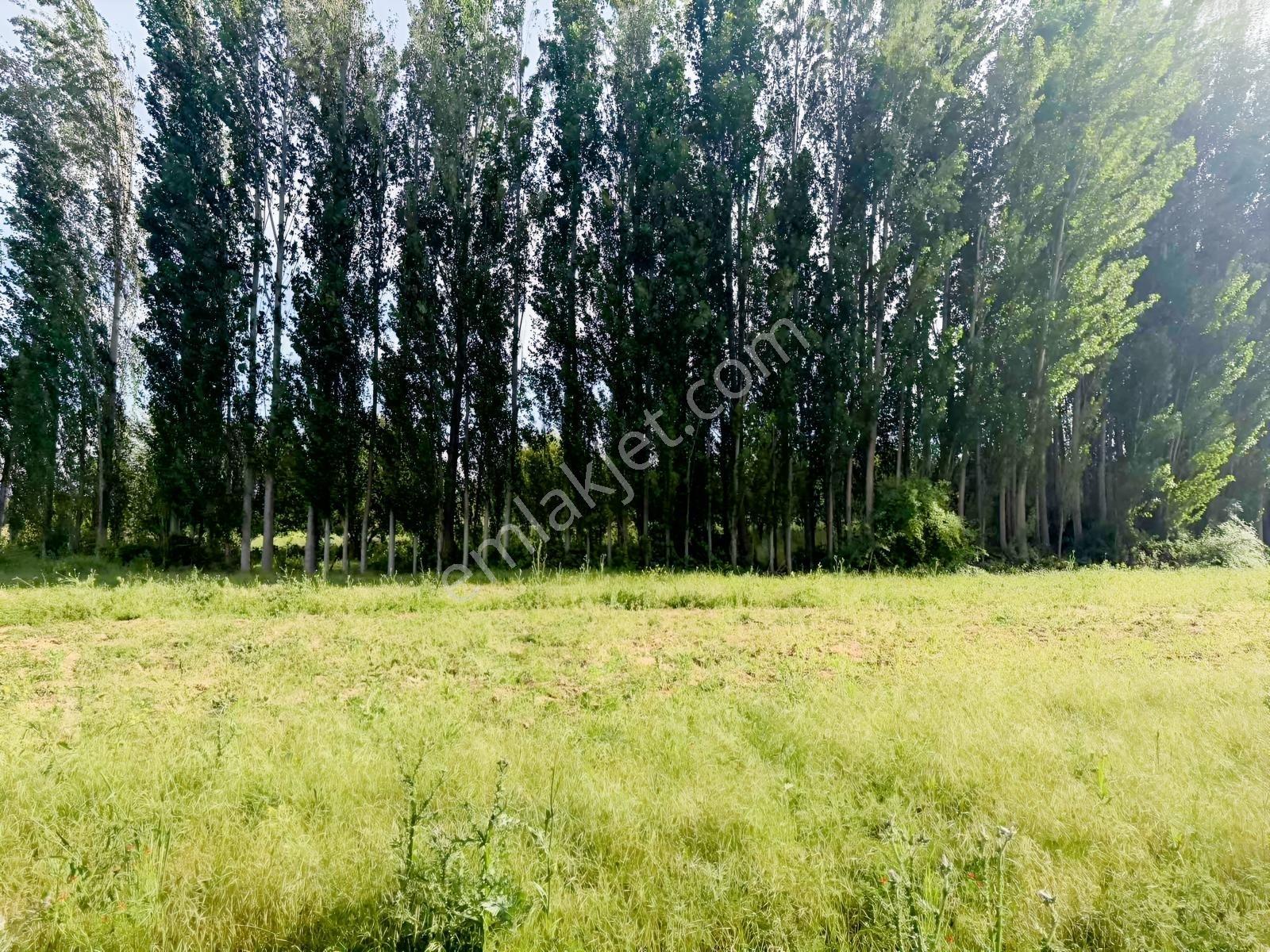 Yazıhan Kömüşhanda Acil Satılık Sulu Tarla - Görsel 27