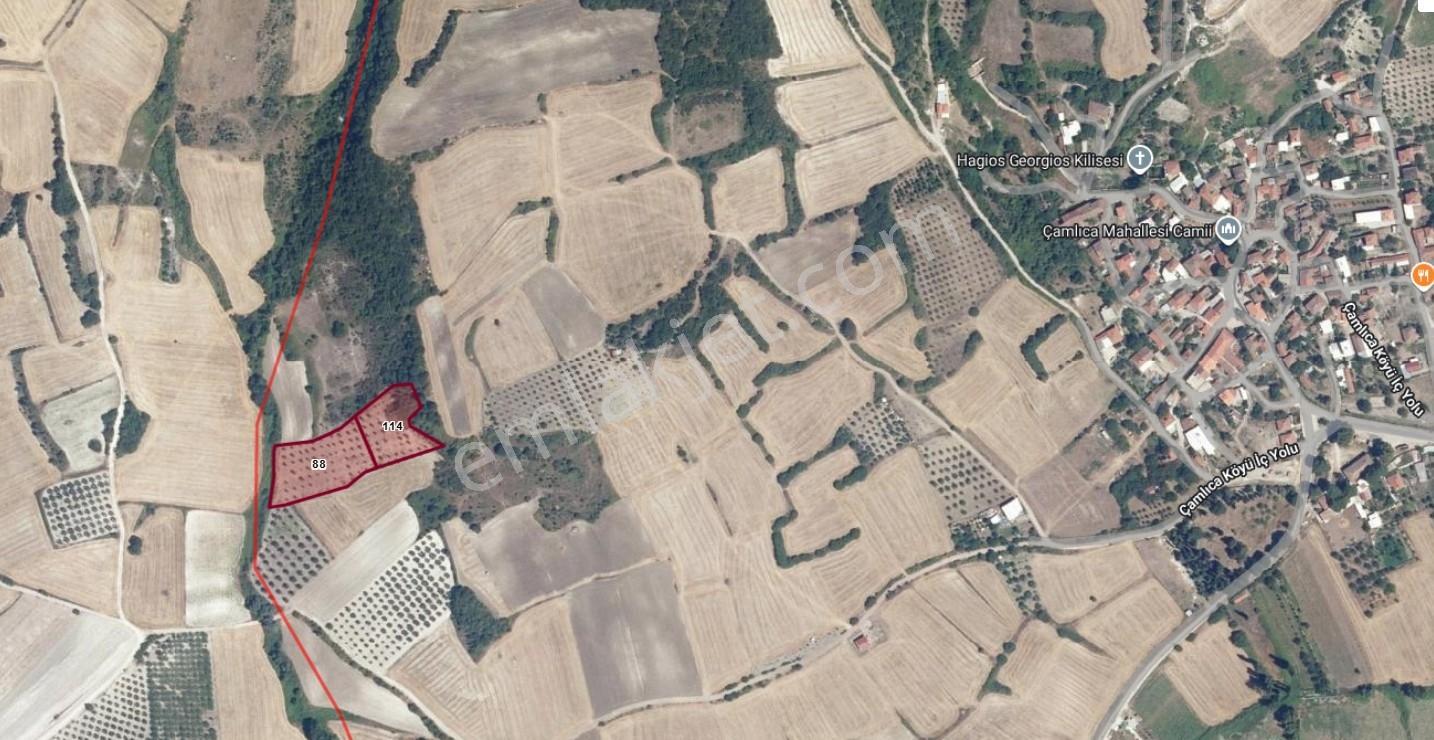 Çamlıca Köyü'nde 6750 M2 Verimli Arazi - Yatırımlık Fırsat - Görsel 5
