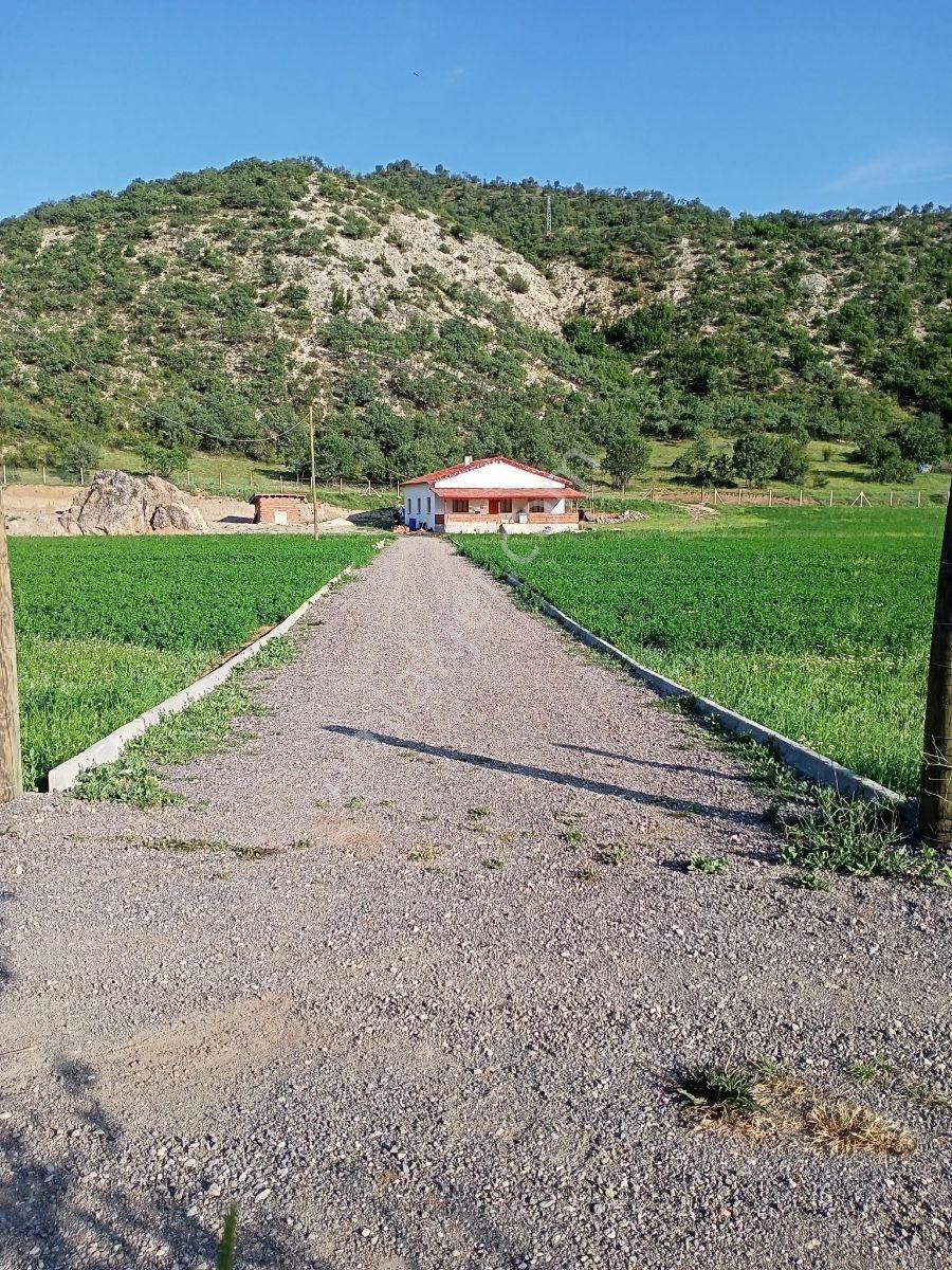 Fiyat Düştü Kısa Süreliğine 12 Dön. Çiftik Evi - Görsel 7