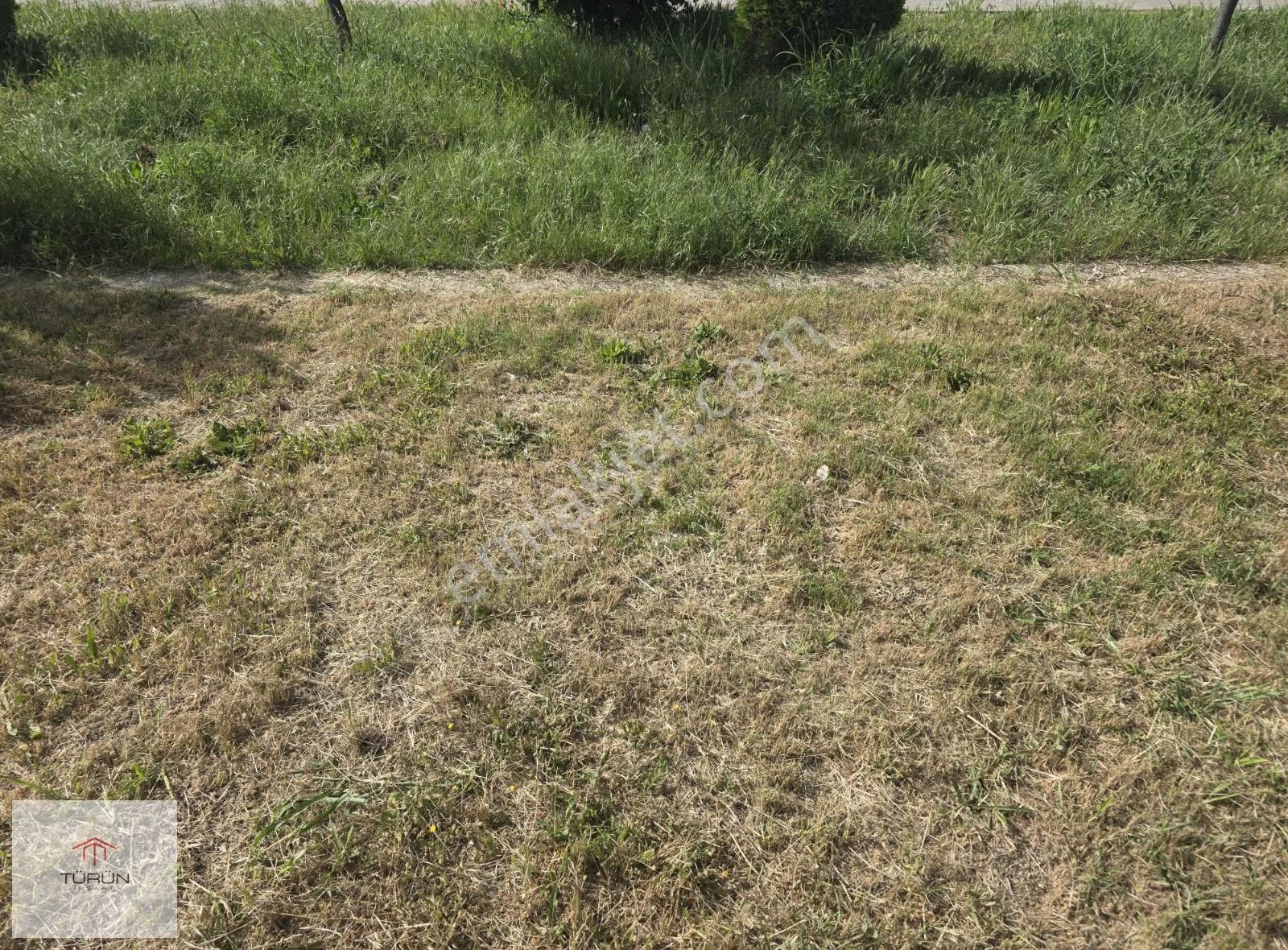 Seydikemer Temel Köyünde Satılık 2 Dönüm 558 Metrekare - Görsel 3