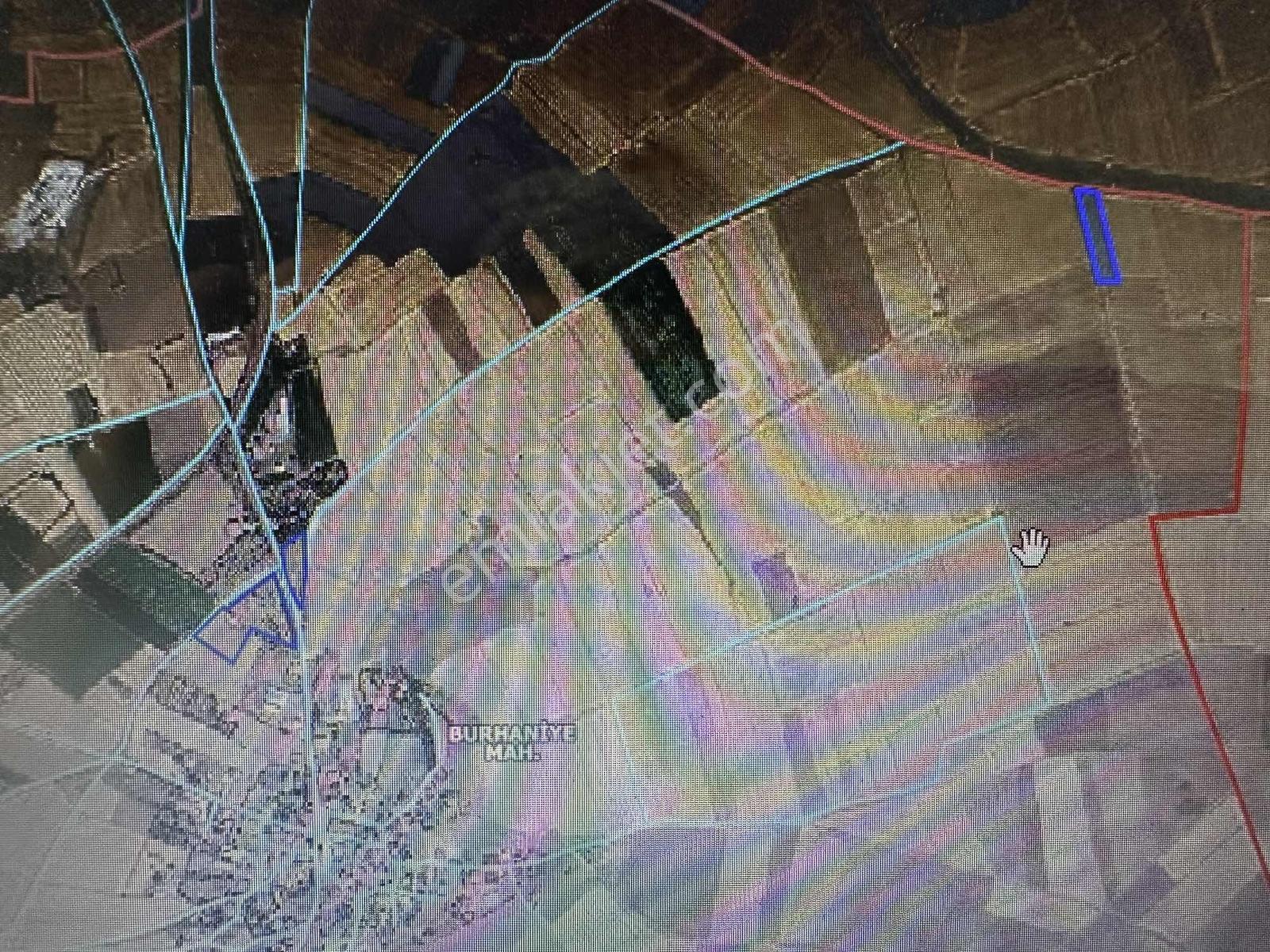 Bünyan Burhaniye'de 4700m2 Sulu Tarla Ekim Yapmaya Uyğun - Görsel 2