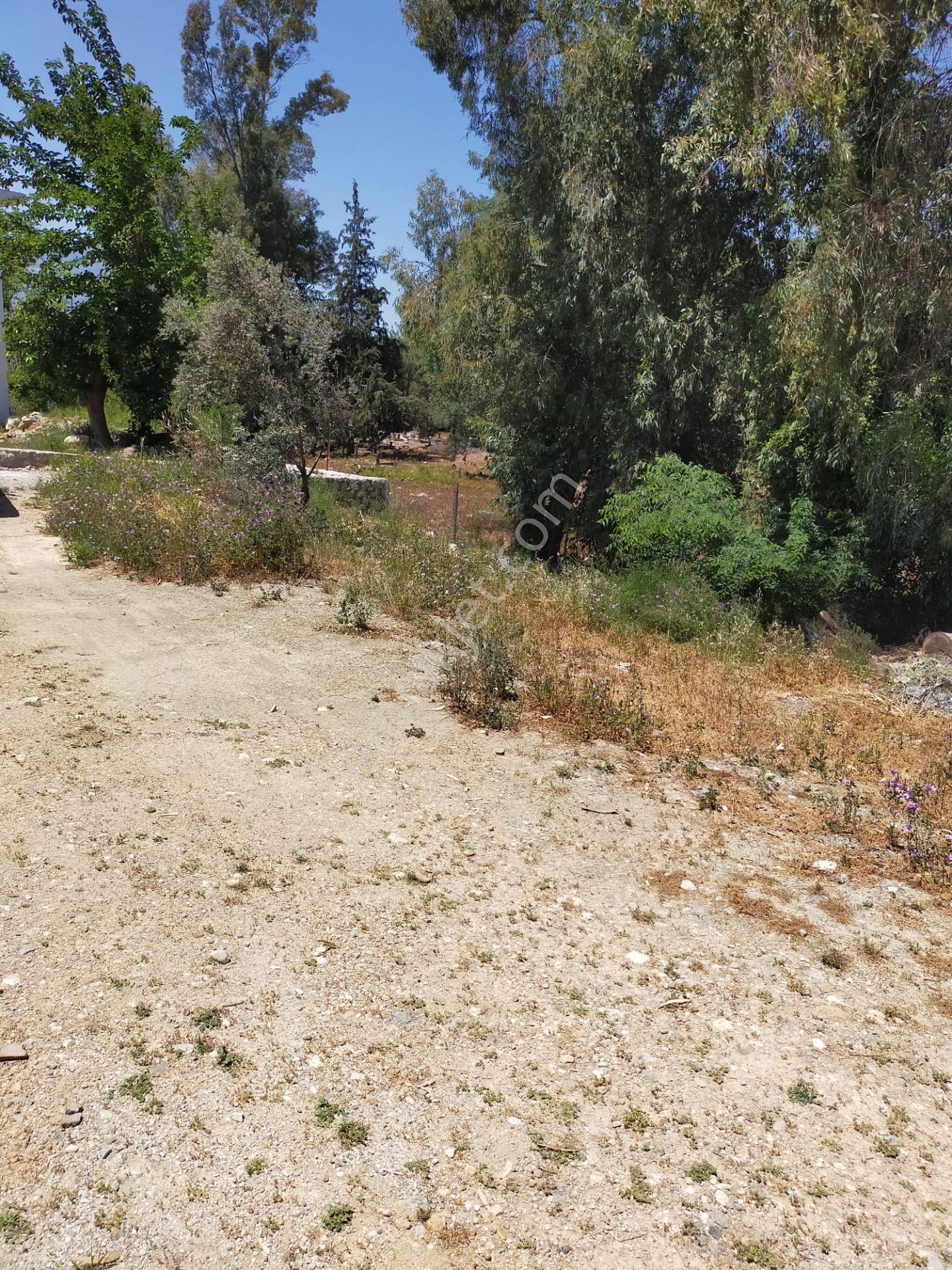 Stop’tan Girmeler Saklıkent Yolu Üzeri 500m² İmarlı Arsa