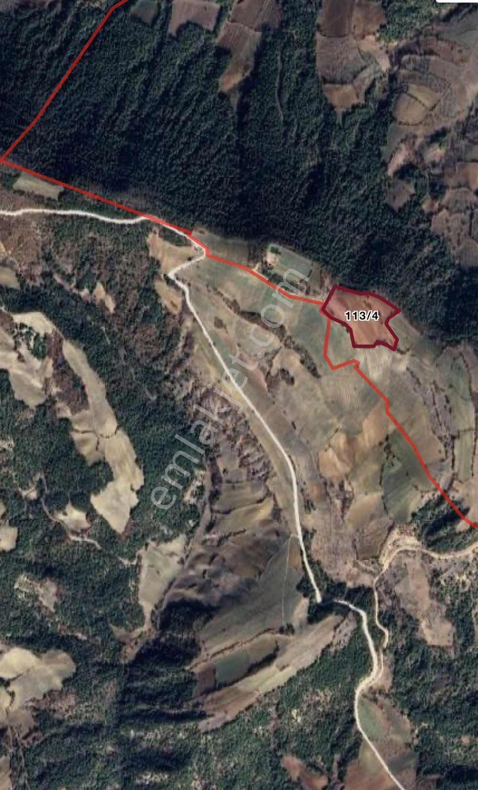 Sakarya Taraklı Çamtepe' De Satılık Tarla - Görsel 3