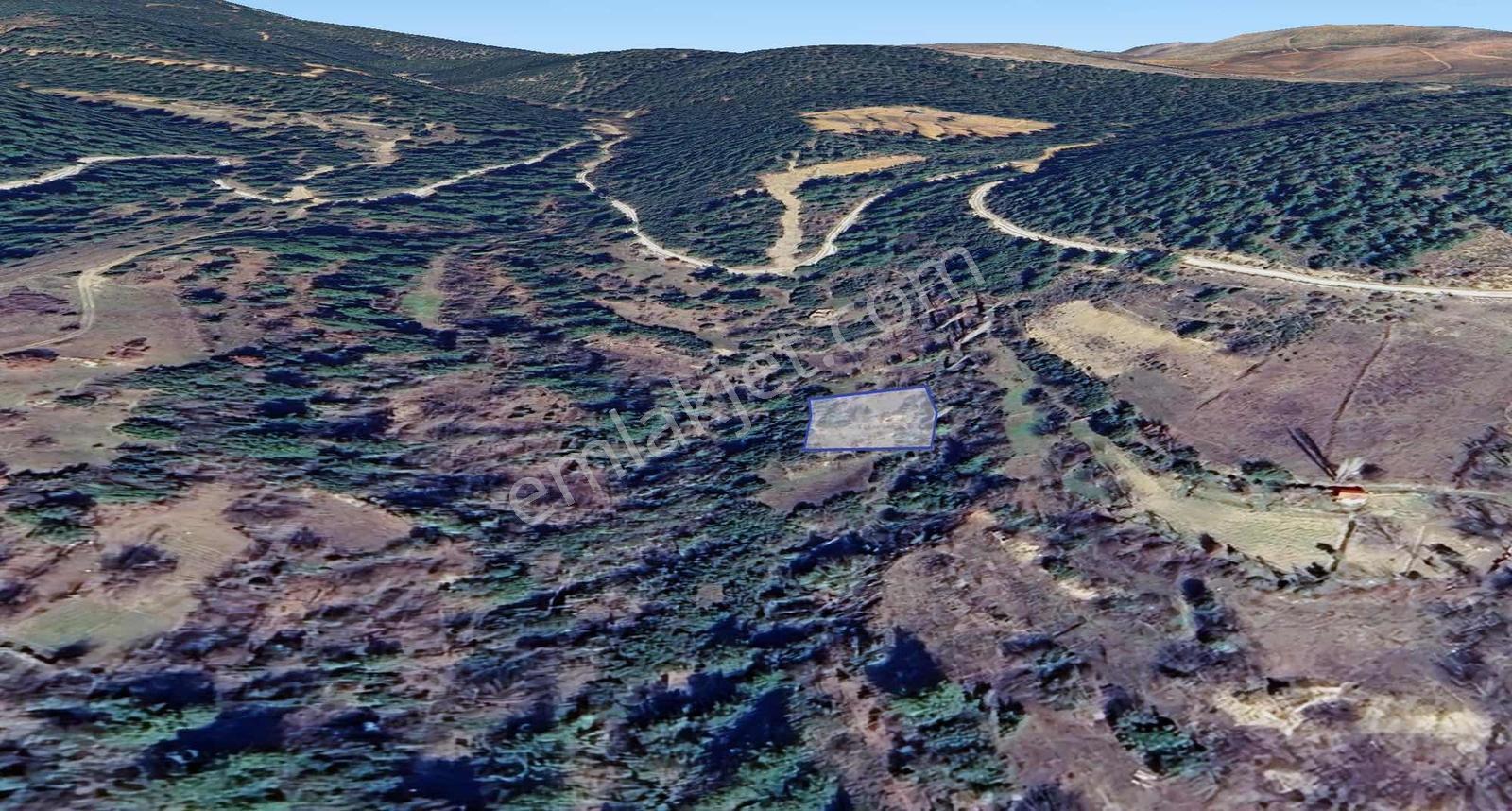 Muğla Kavaklıdere Menteşe'de Satılık 927 M² Bahçe - Görsel 7