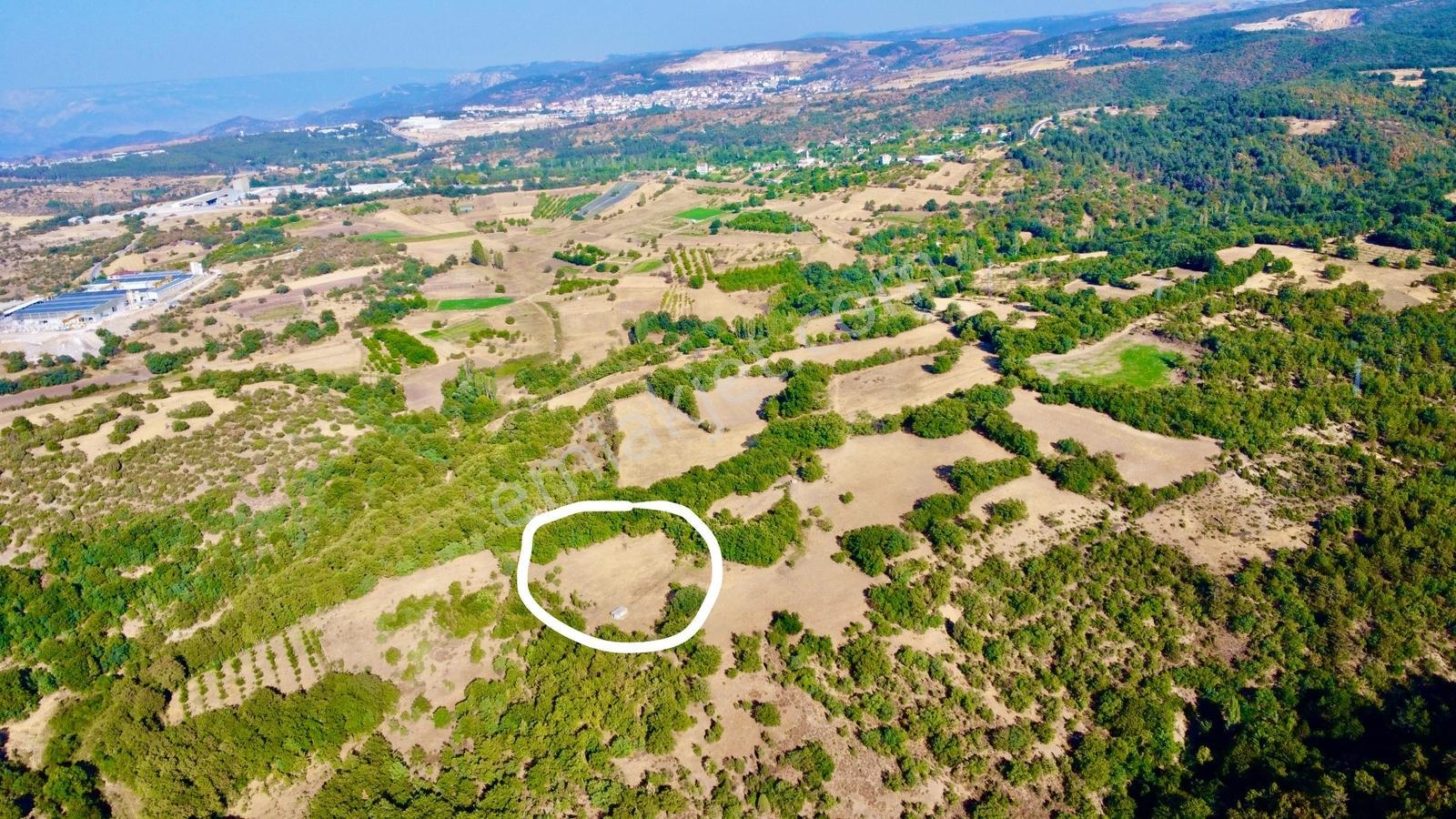 Gama Gayrimenkul'den Bilecik Söğüt Dereboyu'nda Emsalsiz Fırsat: - Görsel 22