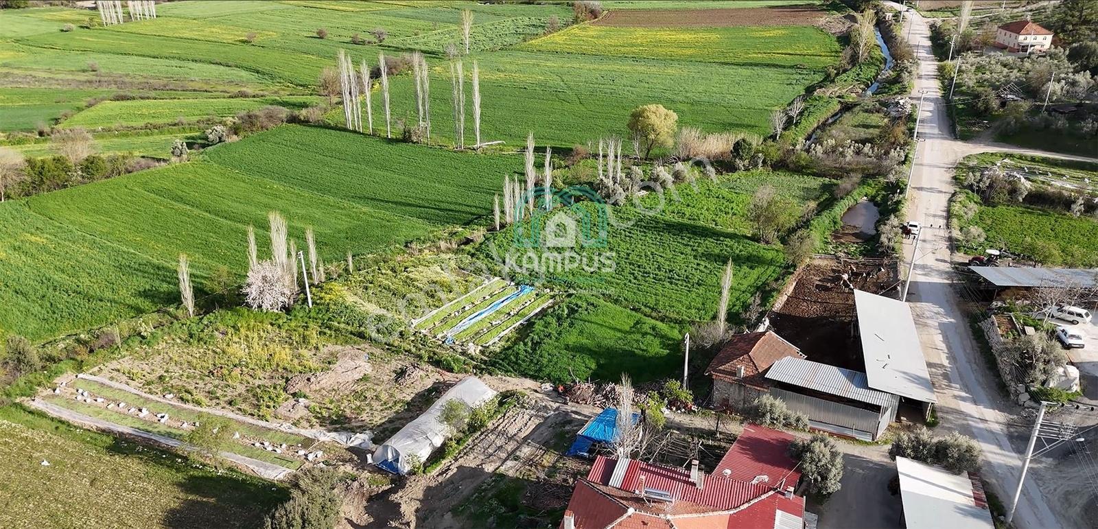 Muğla Menteşe Yörükoğlu Mah. Satılık Tarla - Görsel 13