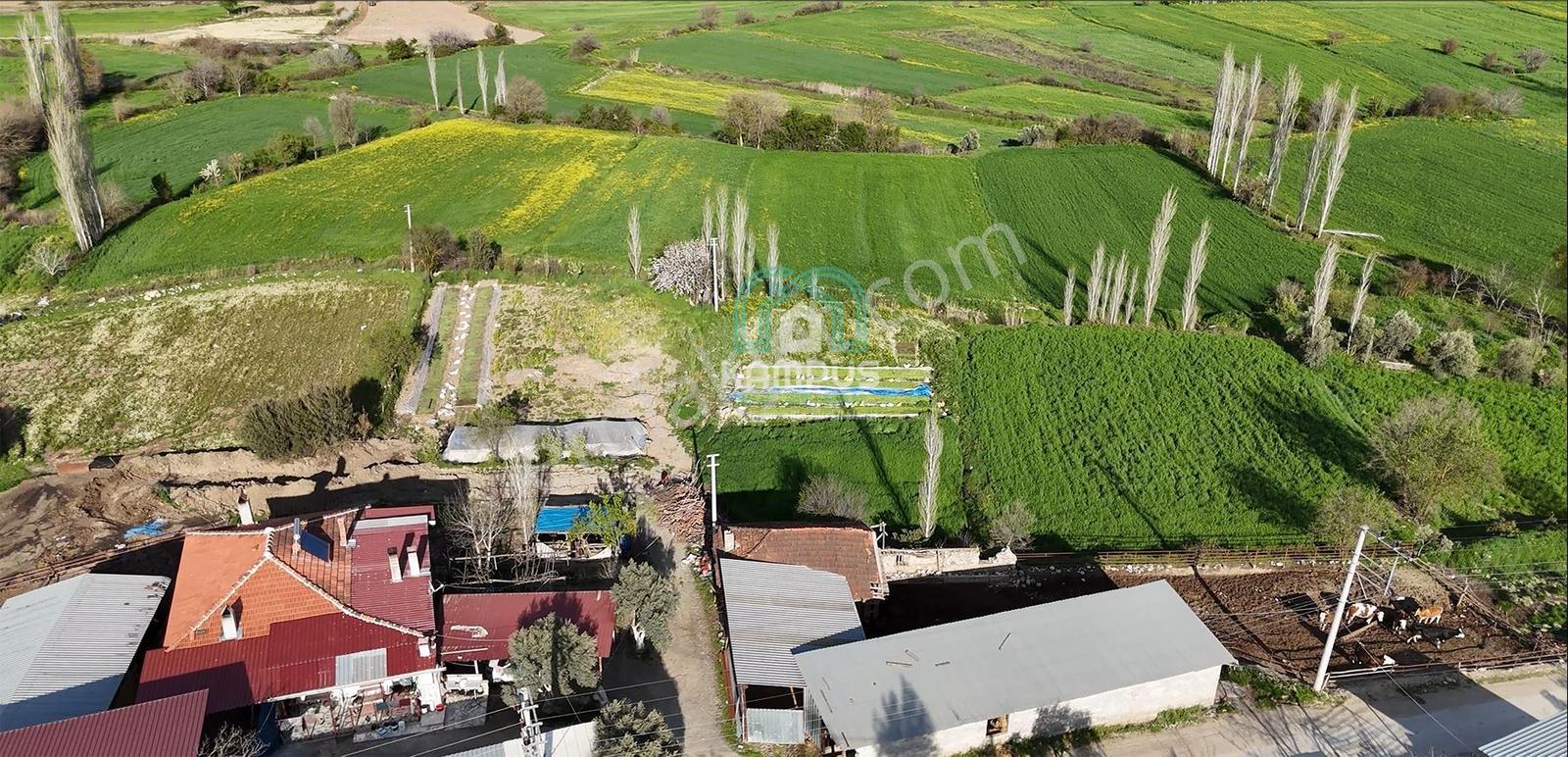 Muğla Menteşe Yörükoğlu Mah. Satılık Tarla - Görsel 16