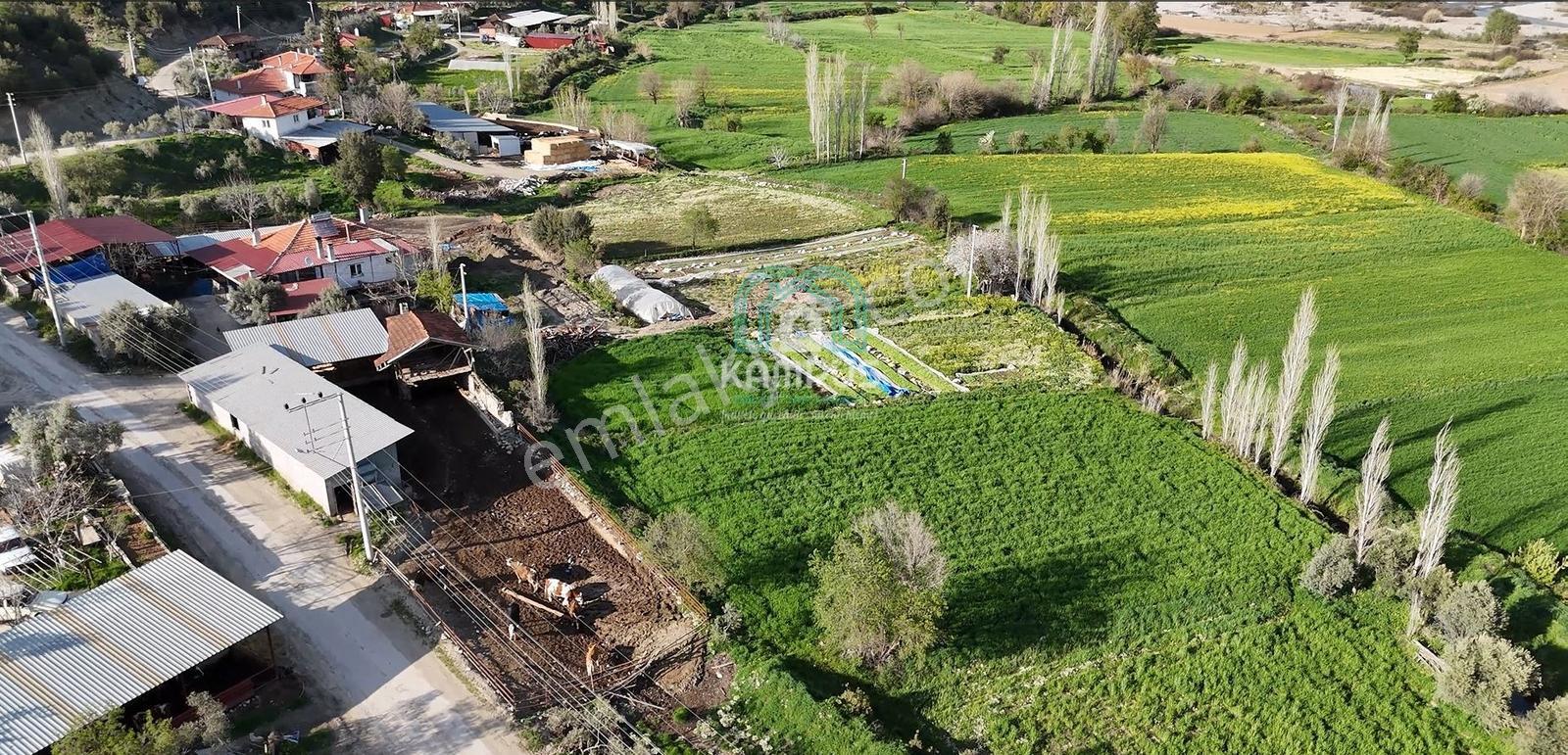 Muğla Menteşe Yörükoğlu Mah. Satılık Tarla - Görsel 3