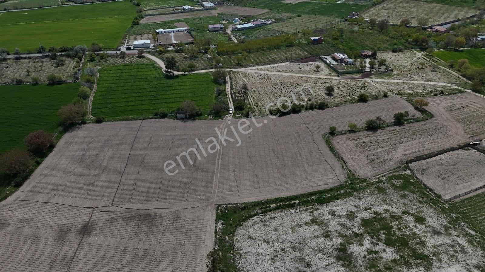 Emin Emlak Bor Fatih 3 Dönüm (su Elektrik Yol Var) Satılık Tarla - Görsel 5